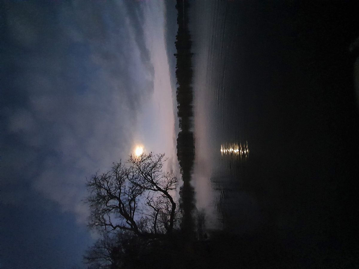 安徽1995年巨蟒渡劫事件：飞天之际遭雷击