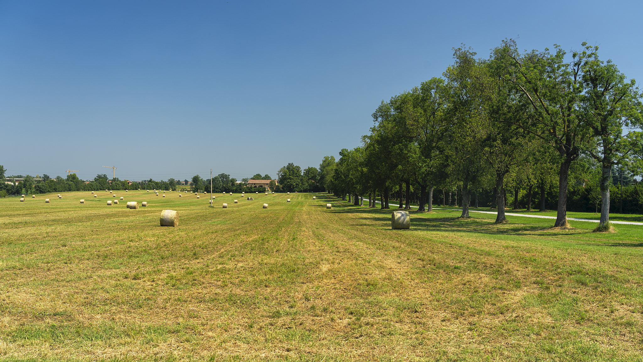 河南农业广播电视学校2023年有哪些专业