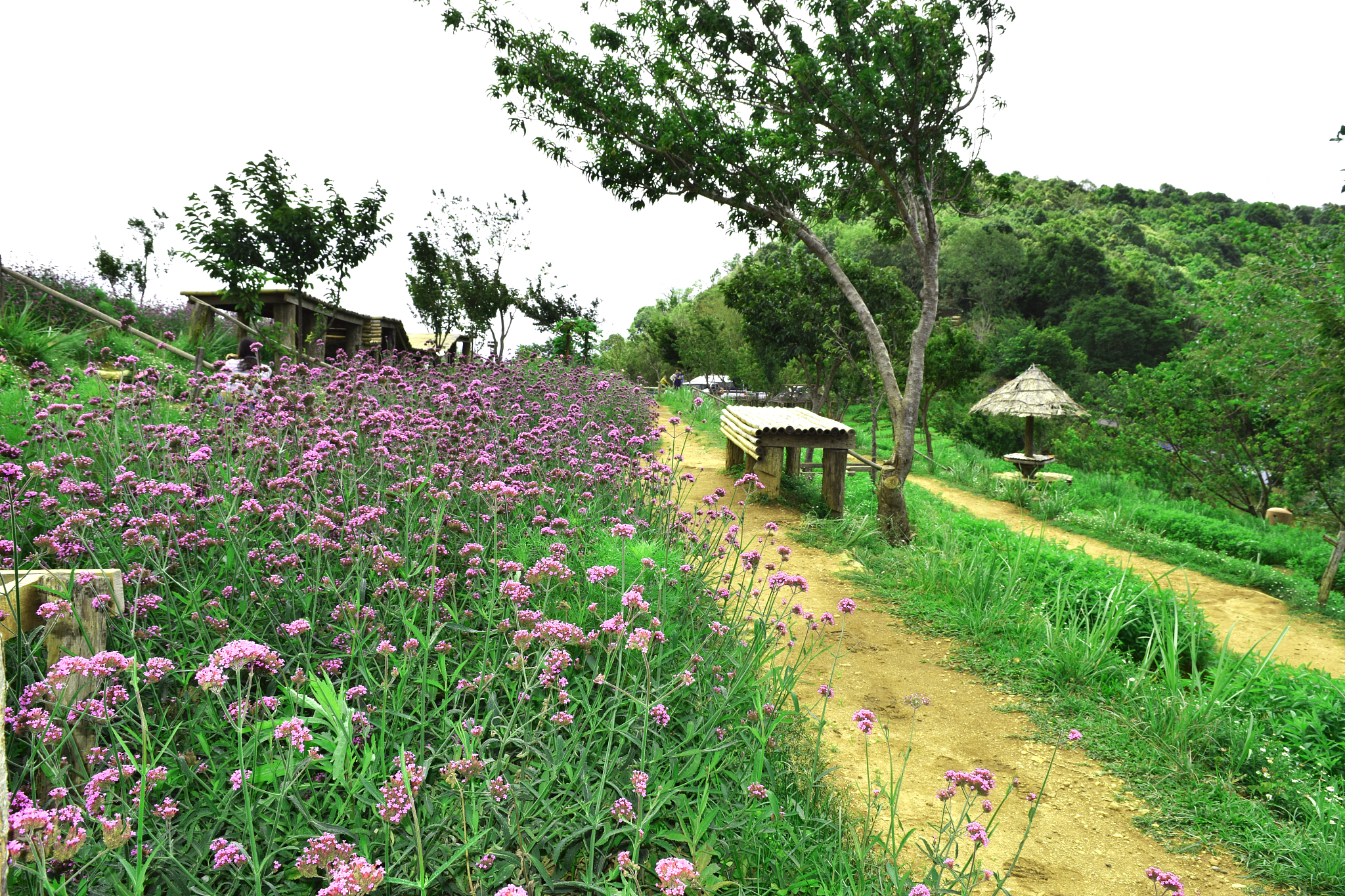 西安市园林技工学校园林高级工怎么样？招生条件有哪些