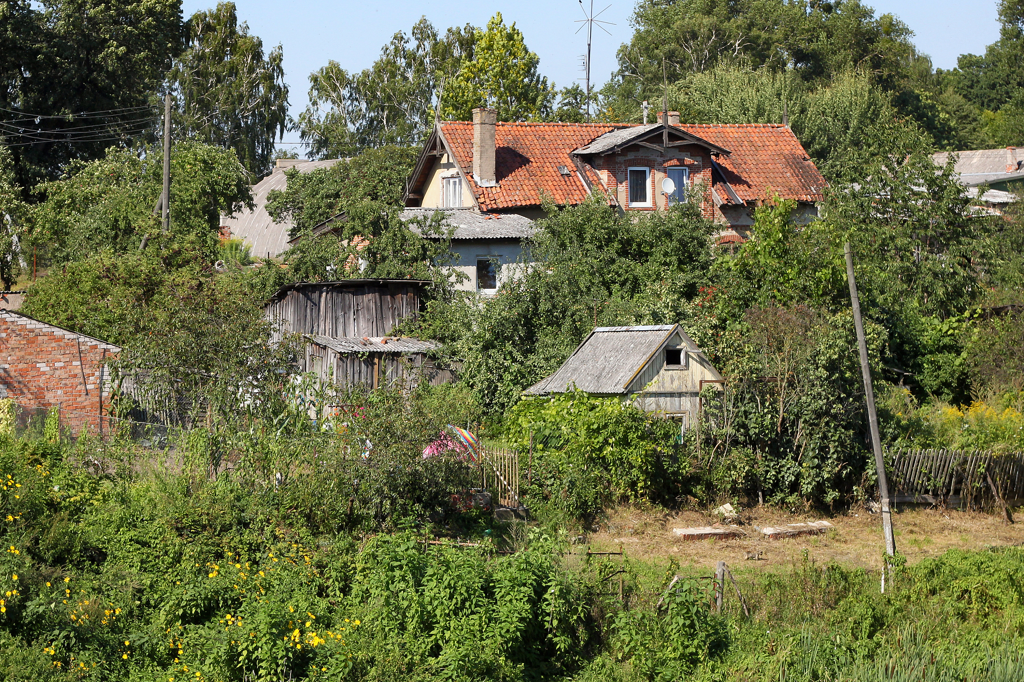 Adobe Premiere Pro：专业的视频剪辑软件入门指南