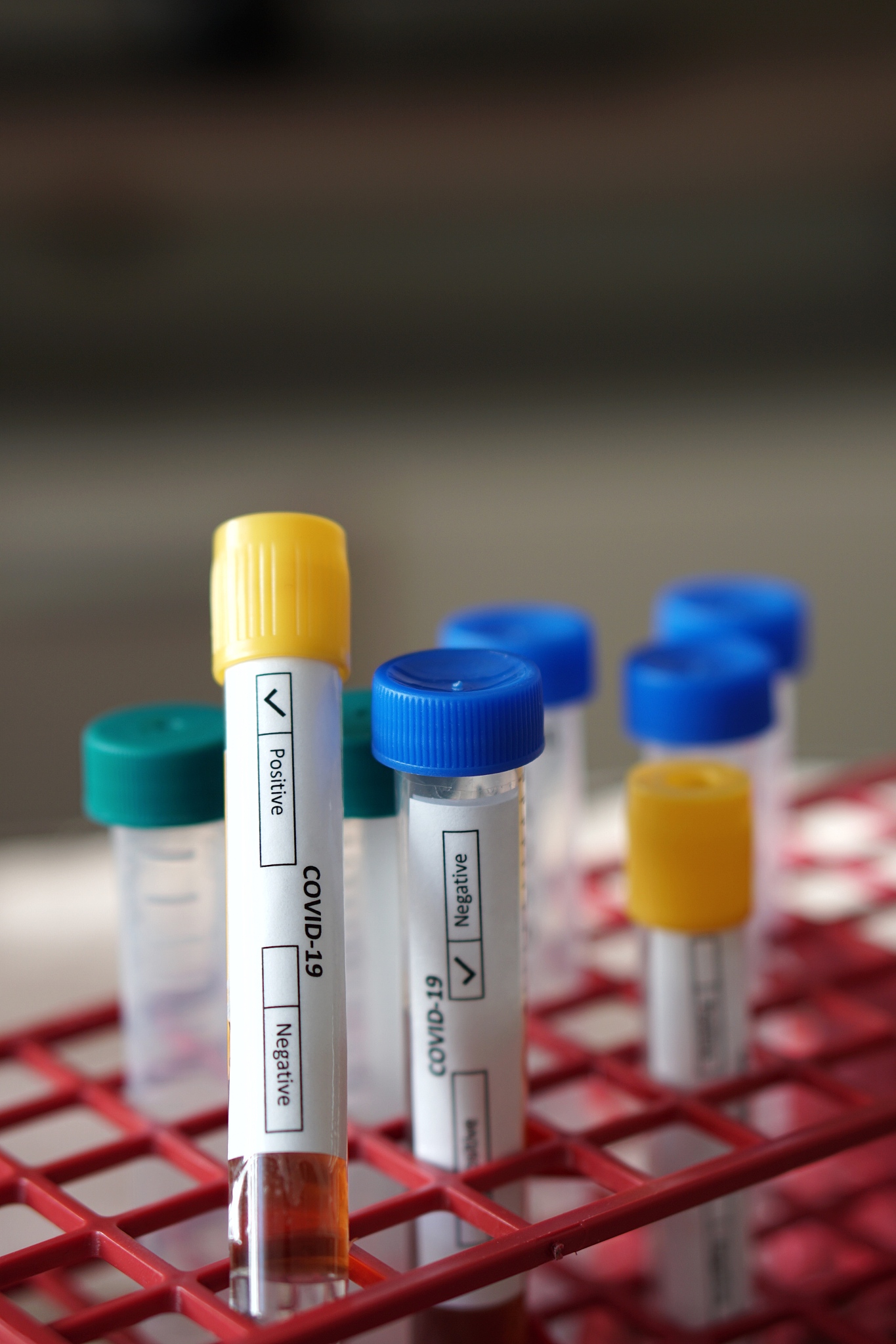 青岛卫生学校招生专业设置