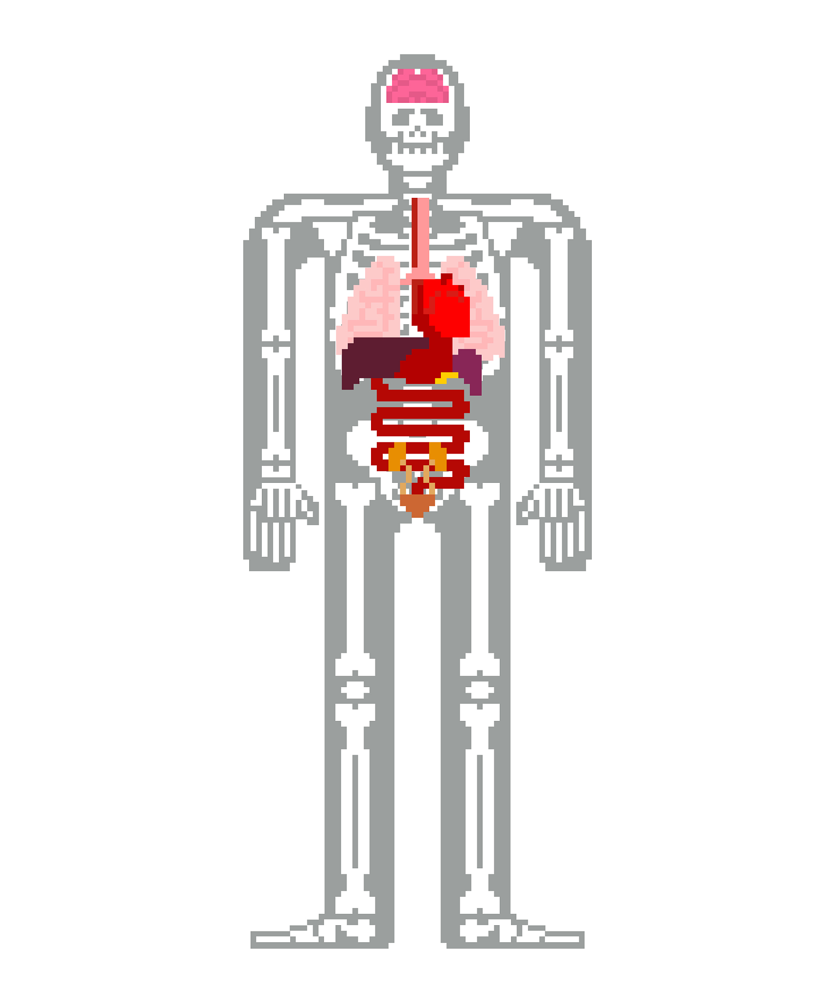 畜牧兽医专业课程内容：核心课程及必备能力