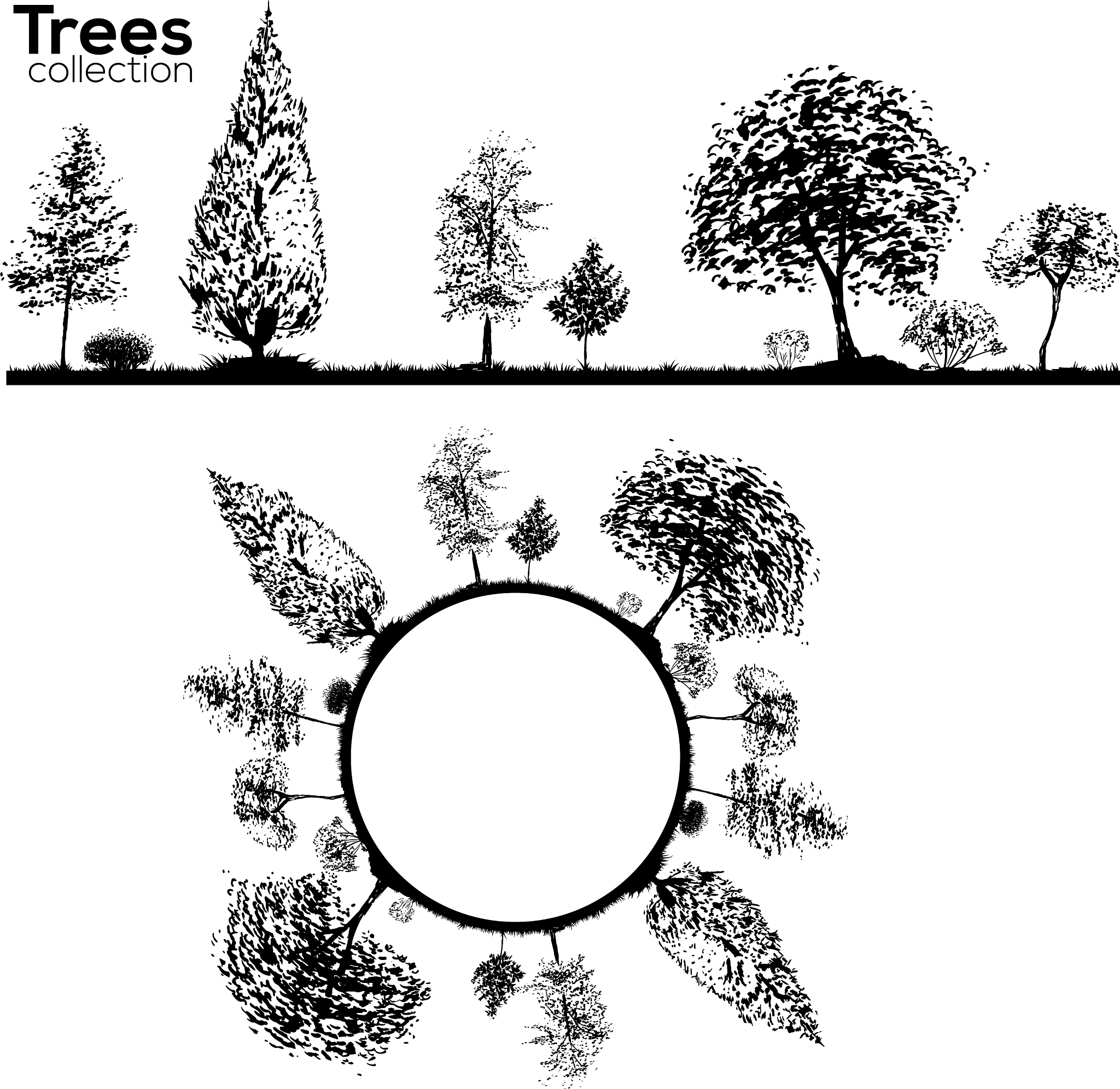植物群落顶级假说：单顶级、多顶级和顶级格局的比较