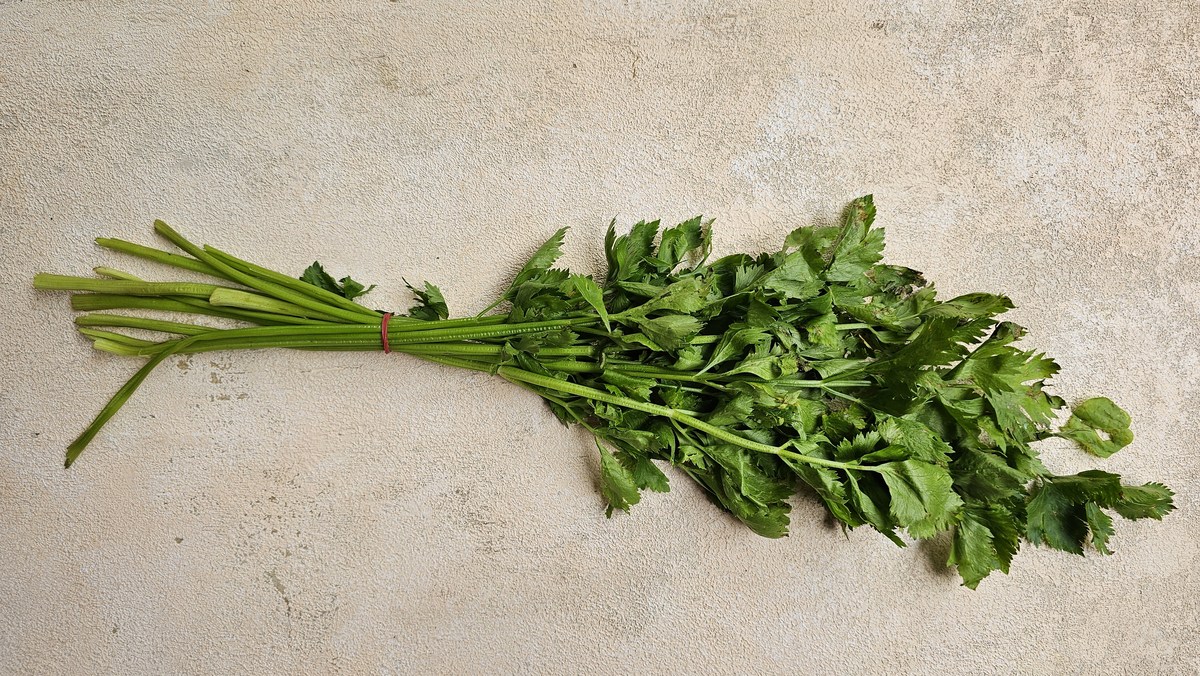 体内寒气重？试试苦菜煮水，改善胃部不适！