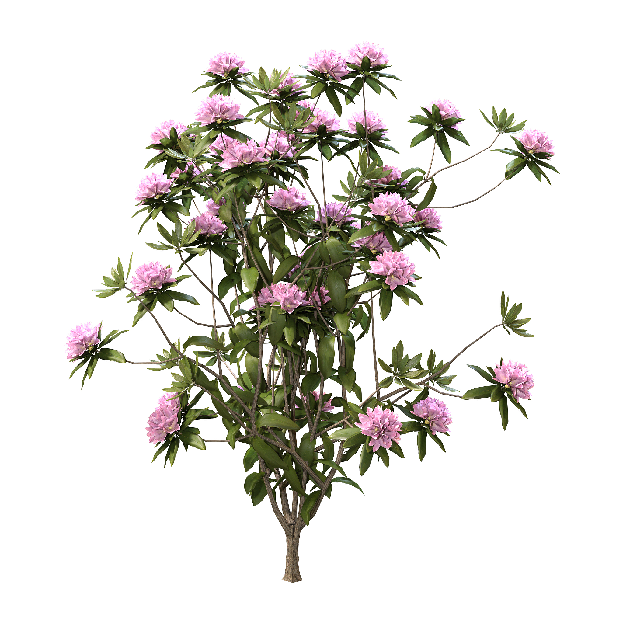 白色杜鹃花灯设计：纯净浪漫的室内装饰