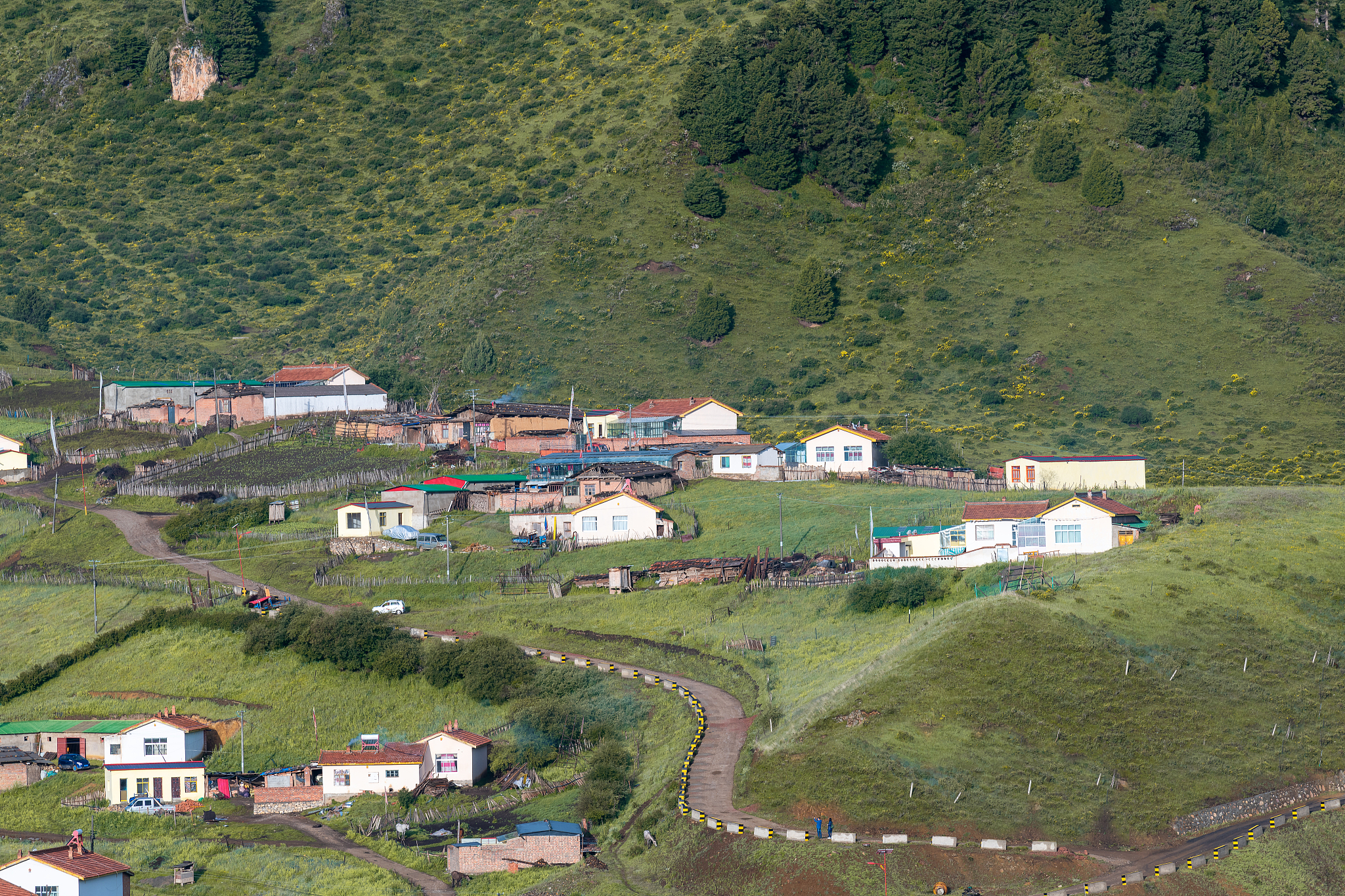 香格里拉到灵芝要经过多吉乡路线回答+拓展。