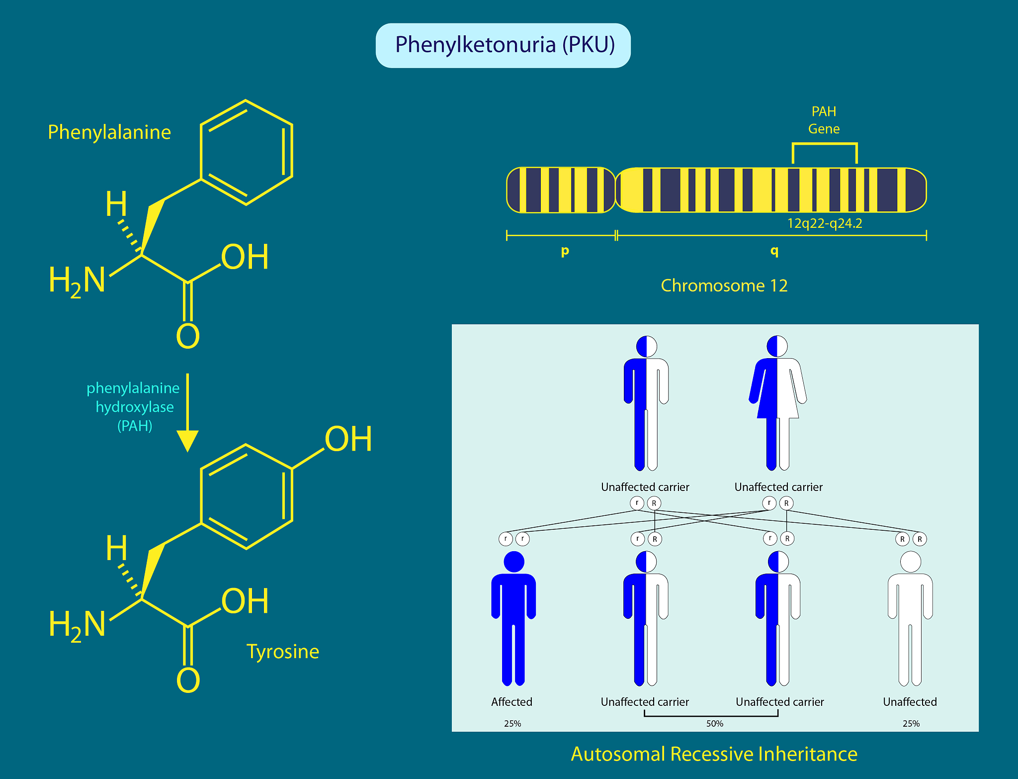 Biochimica et Biophysica Acta-Gene Regulatory Mechanisms期刊推荐理由？