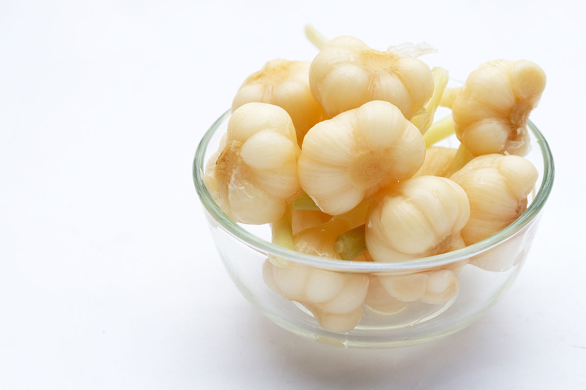 鲜蒜的腌制方法视频，