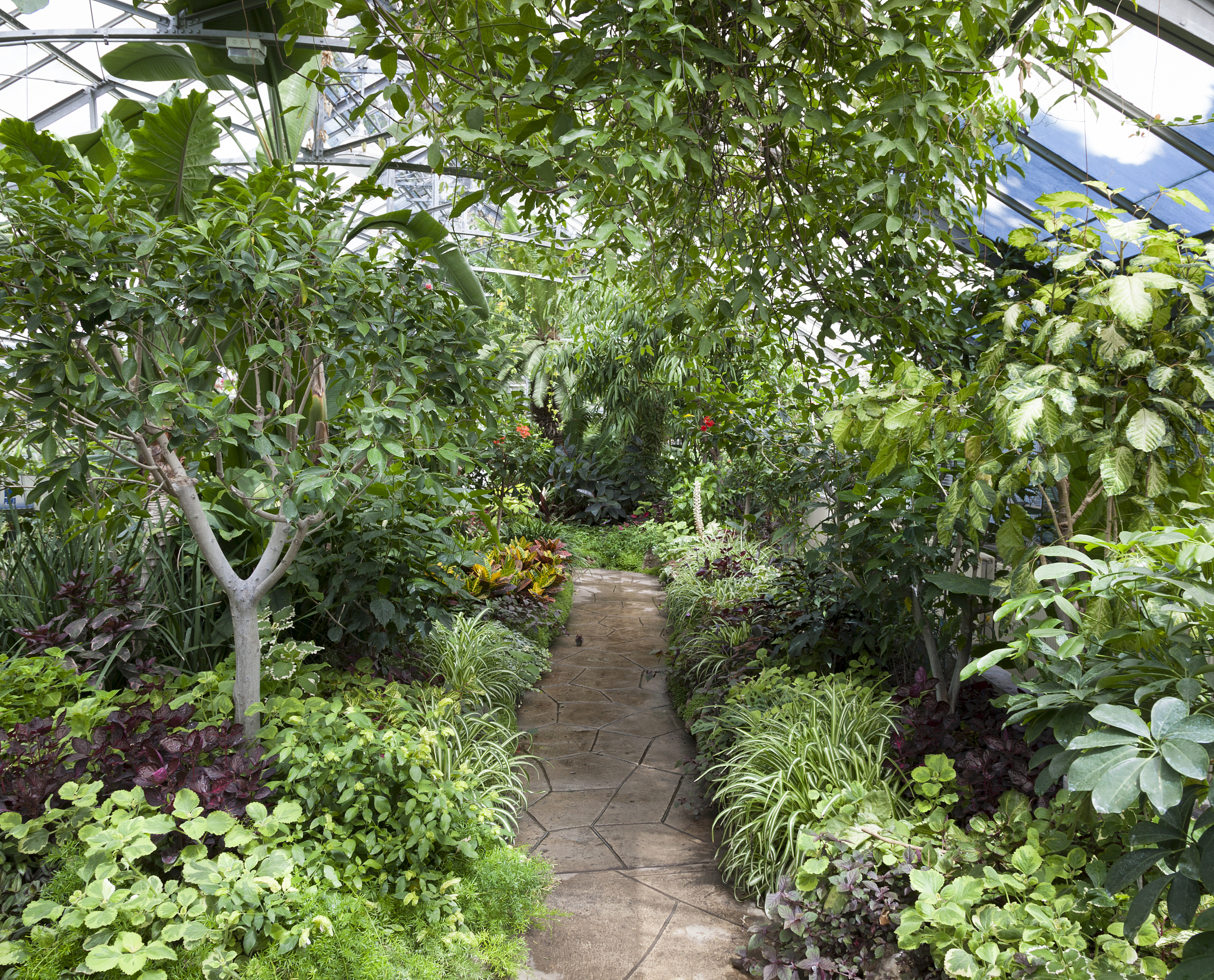 绍兴园艺学校办学层次分析 - 专业性强，教学内容丰富