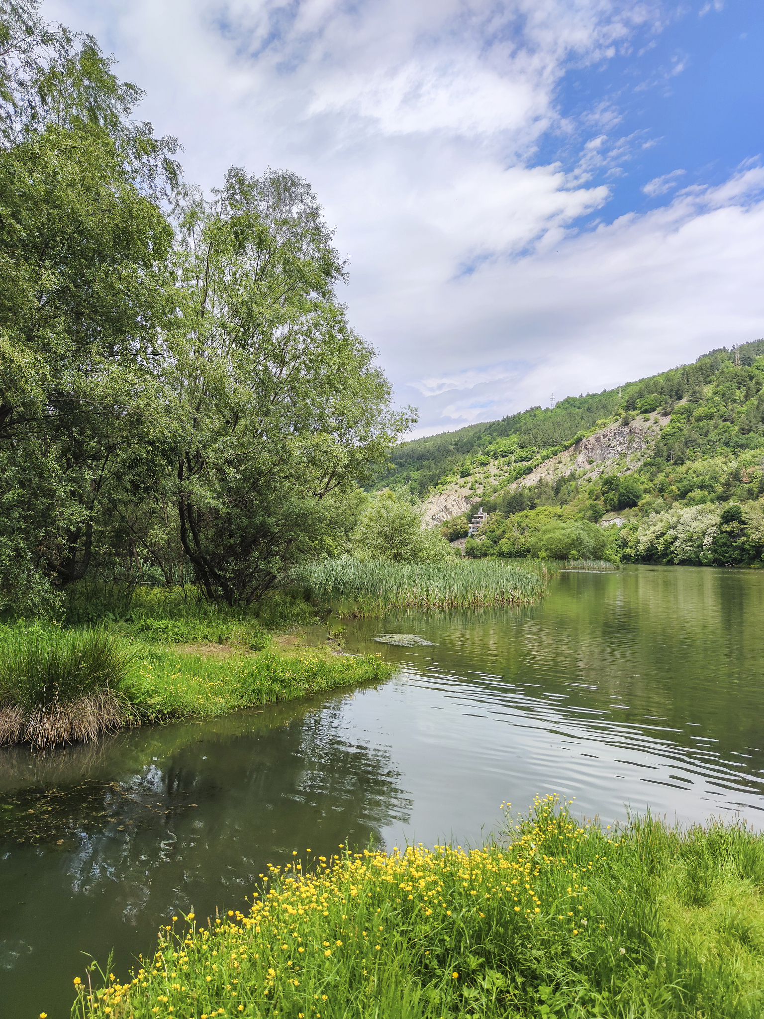 春来江水绿如蓝的上一句是什么