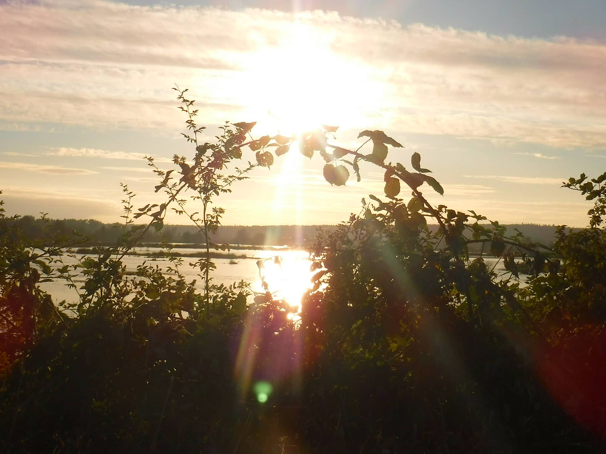 夏季清晨环境描写：500字美文，感受美好的一天