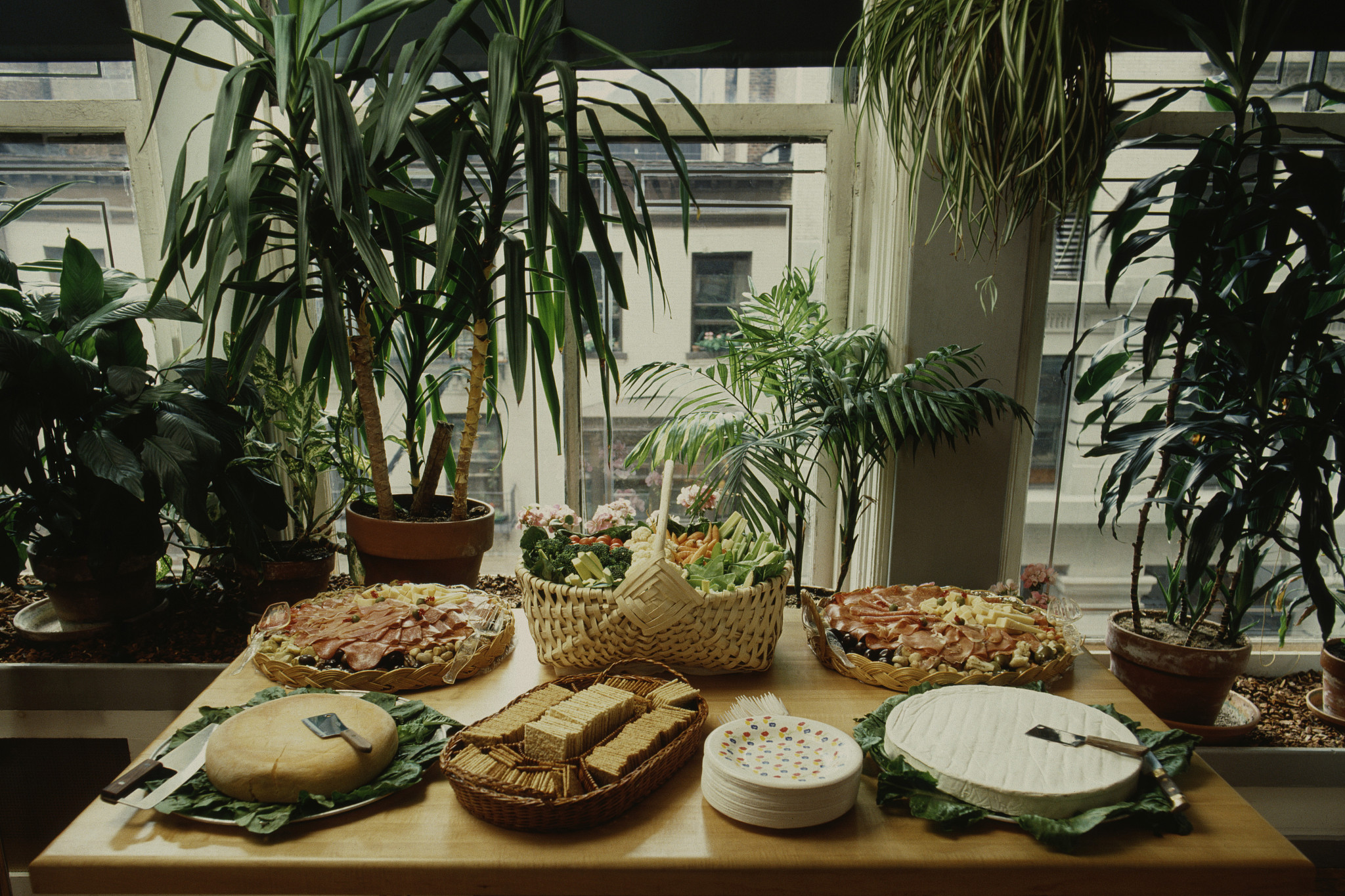 Restaurant Greenery Optimization: Phase 1 Guide