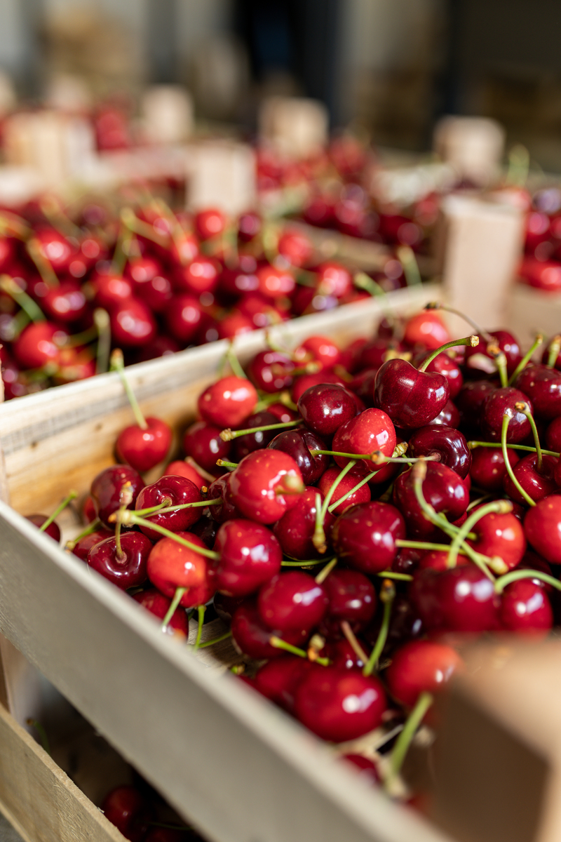 4月中旬应季水果清单 - 草莓、樱桃、桃子等