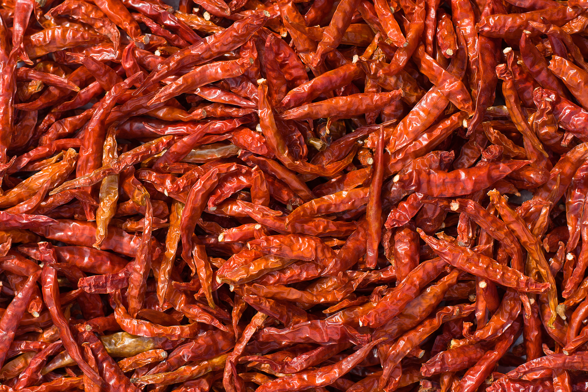 云南省电力技工学校中药专业怎么样