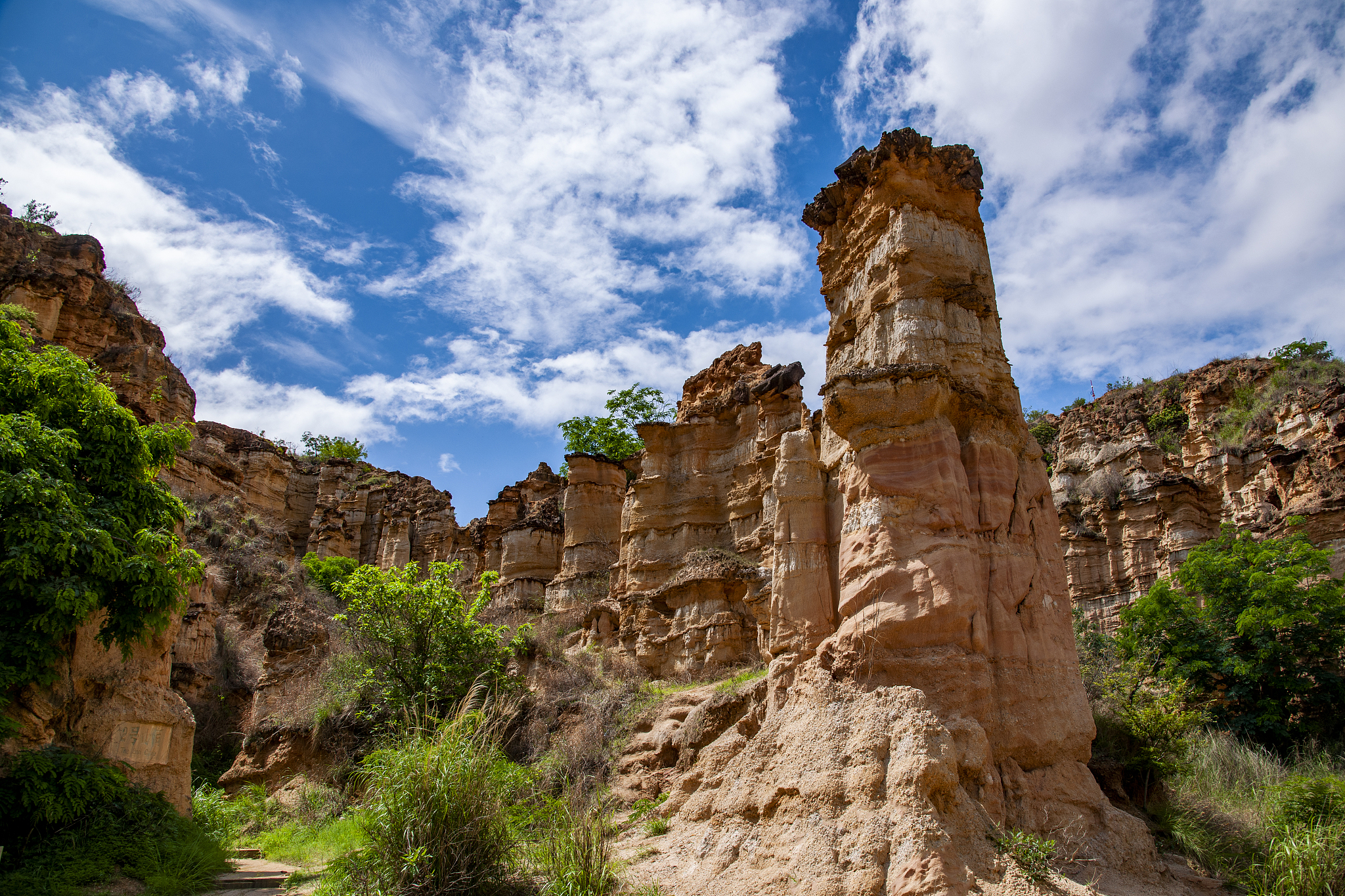 楚雄高中未毕业能读什么中专学校