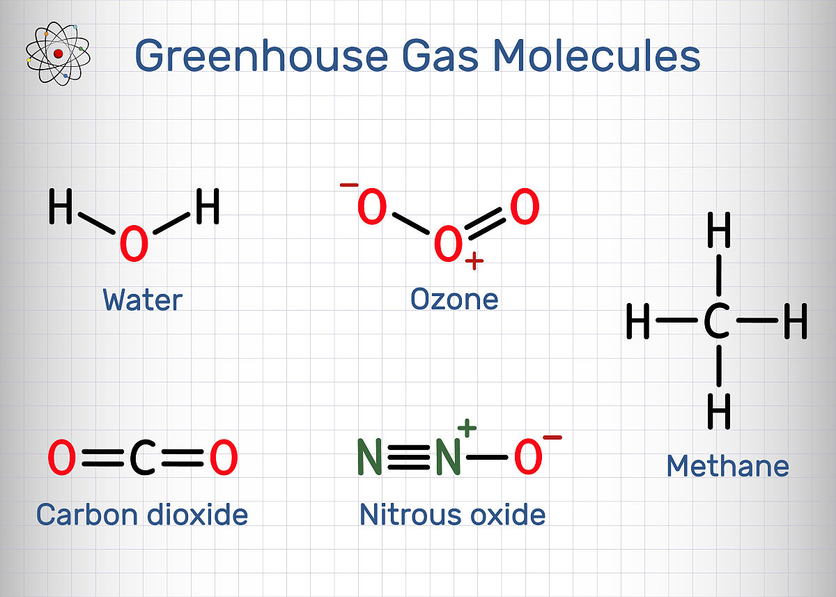10-epi-zonarene中的epi是指什么