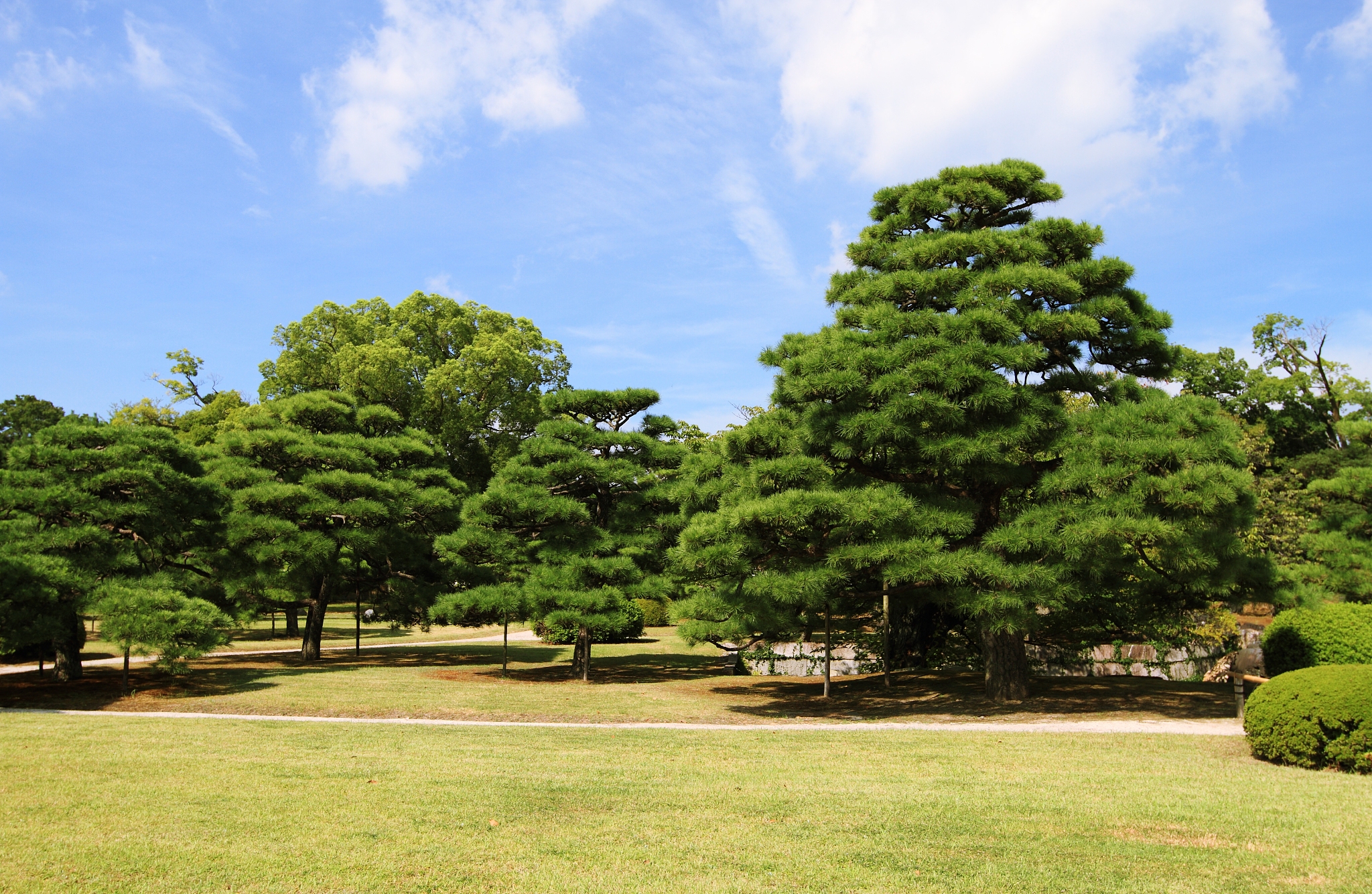 japanese garden, kyoto imperial palace