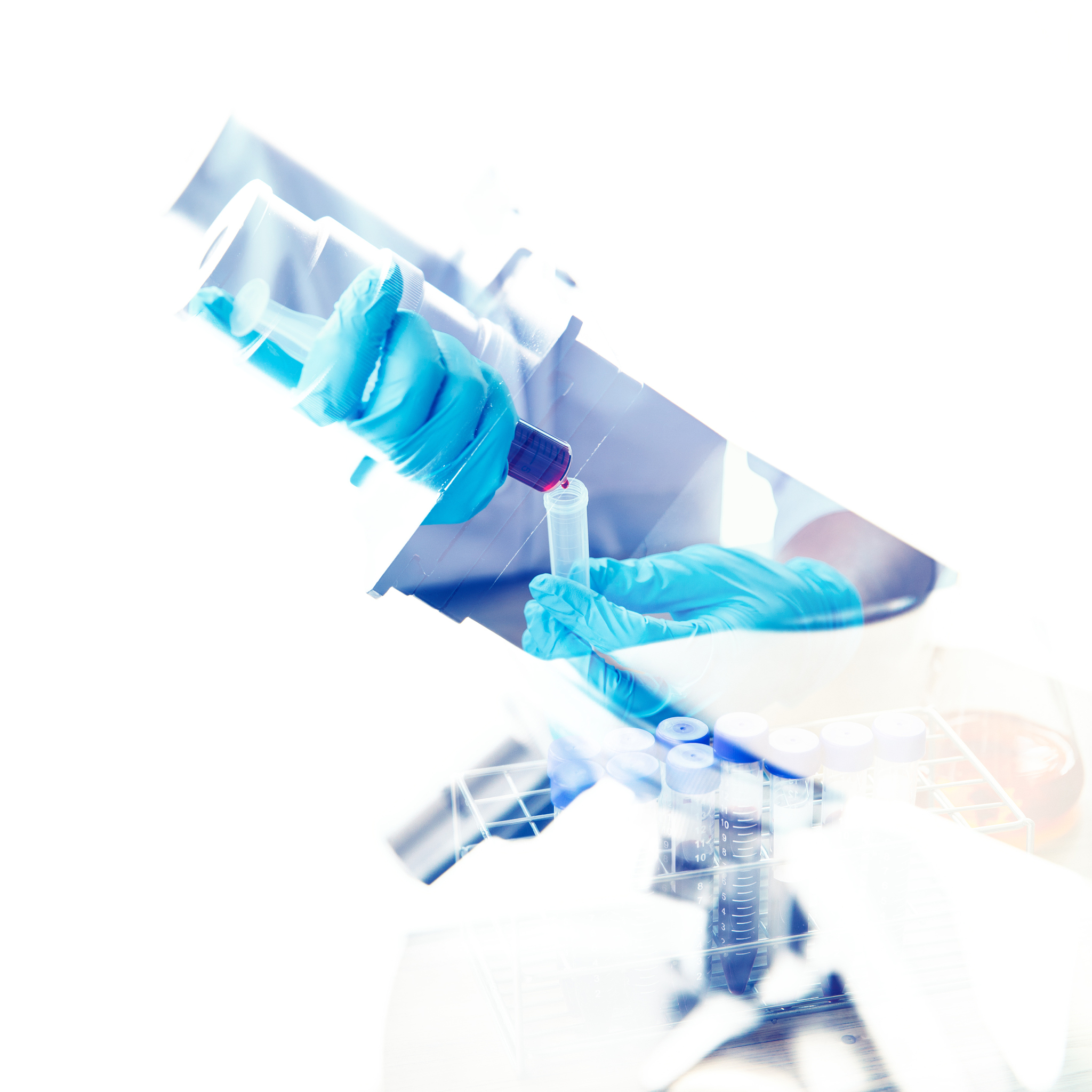 哈萨克斯坦阿里木图中央参考实验室有哪些部门？