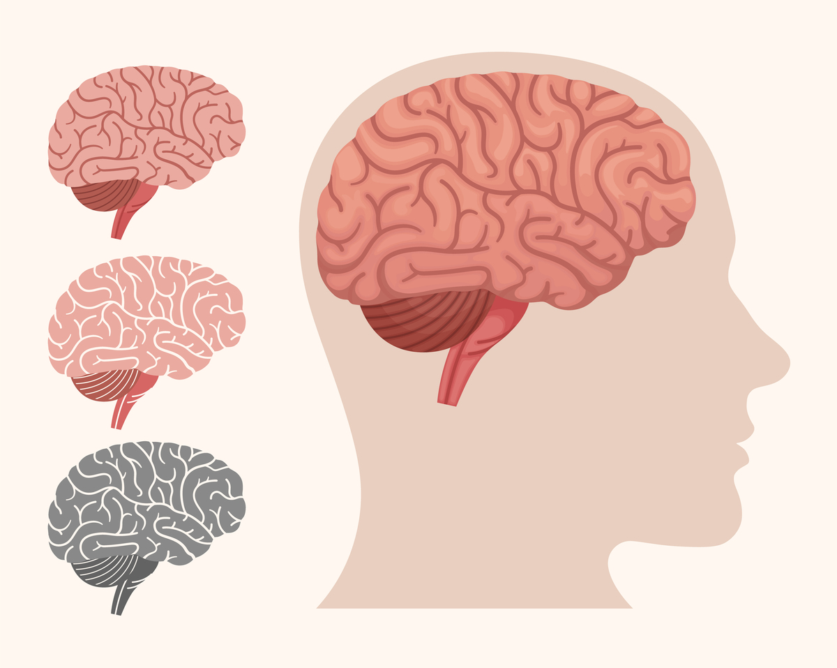 论文的结论要是对认知功能有明显损伤