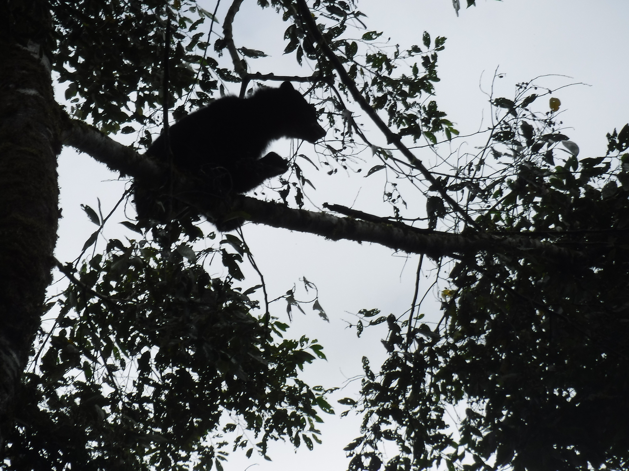 生态旅游资源适宜性评价：可持续发展与旅游吸引力转化