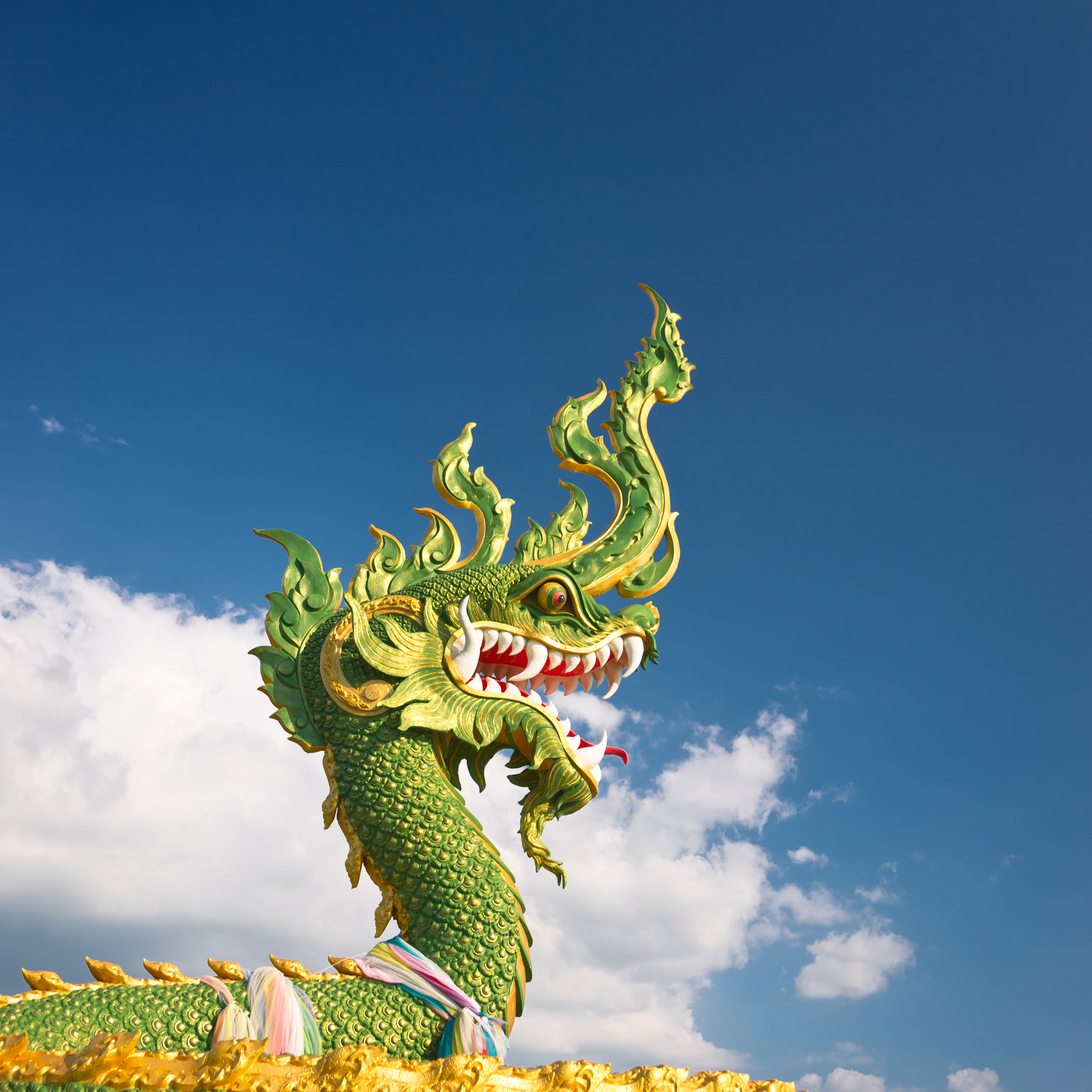 asian dragon