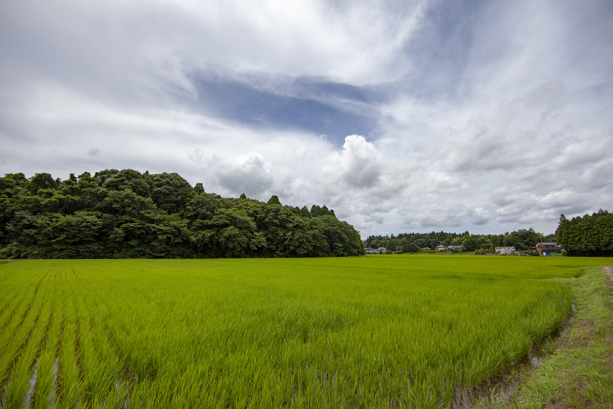 成都农业科技职业学院五年制大专数控技术专业好不好会涉及哪些课程