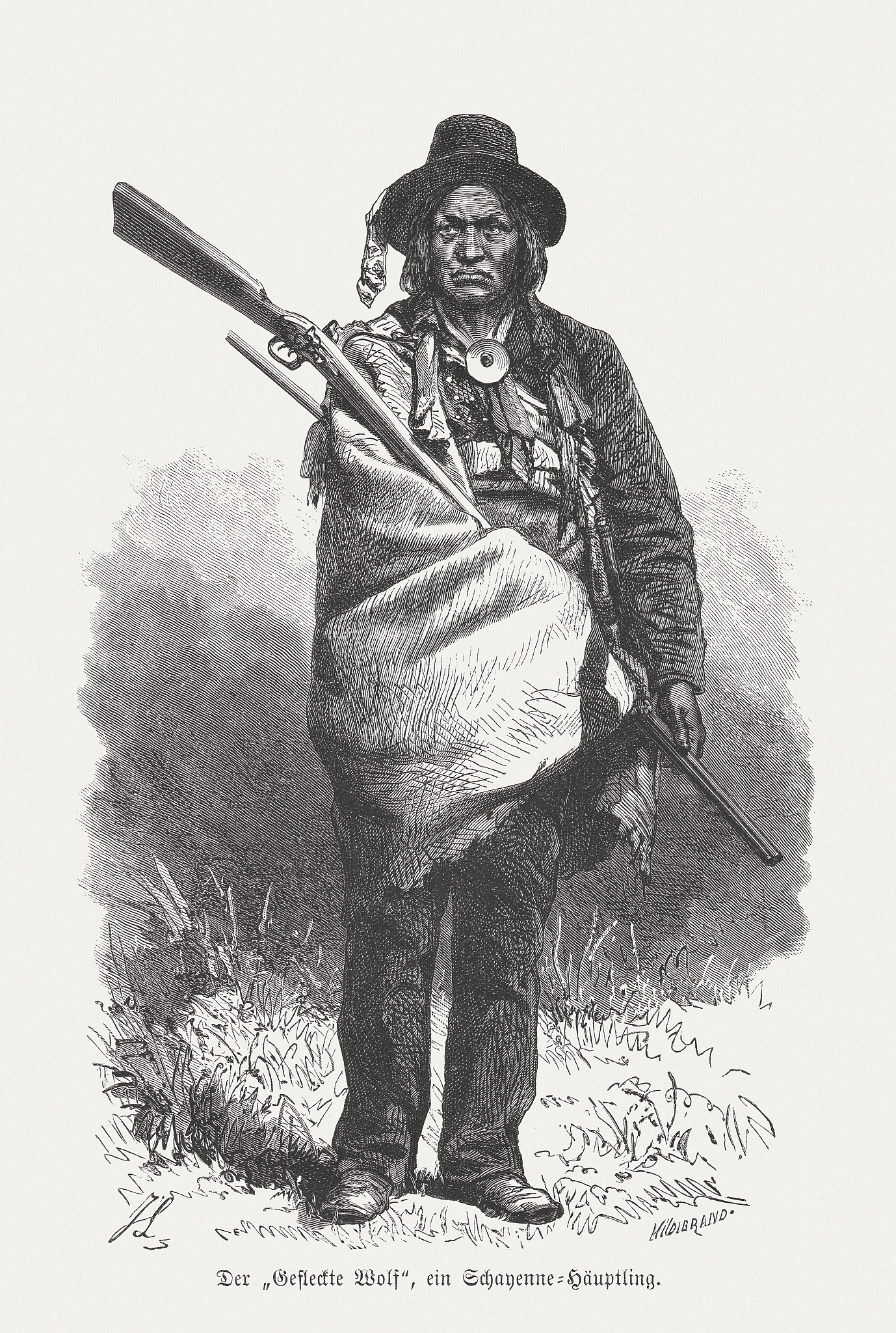 狼首领为什么知道黑暗能量的事情回答加拓展