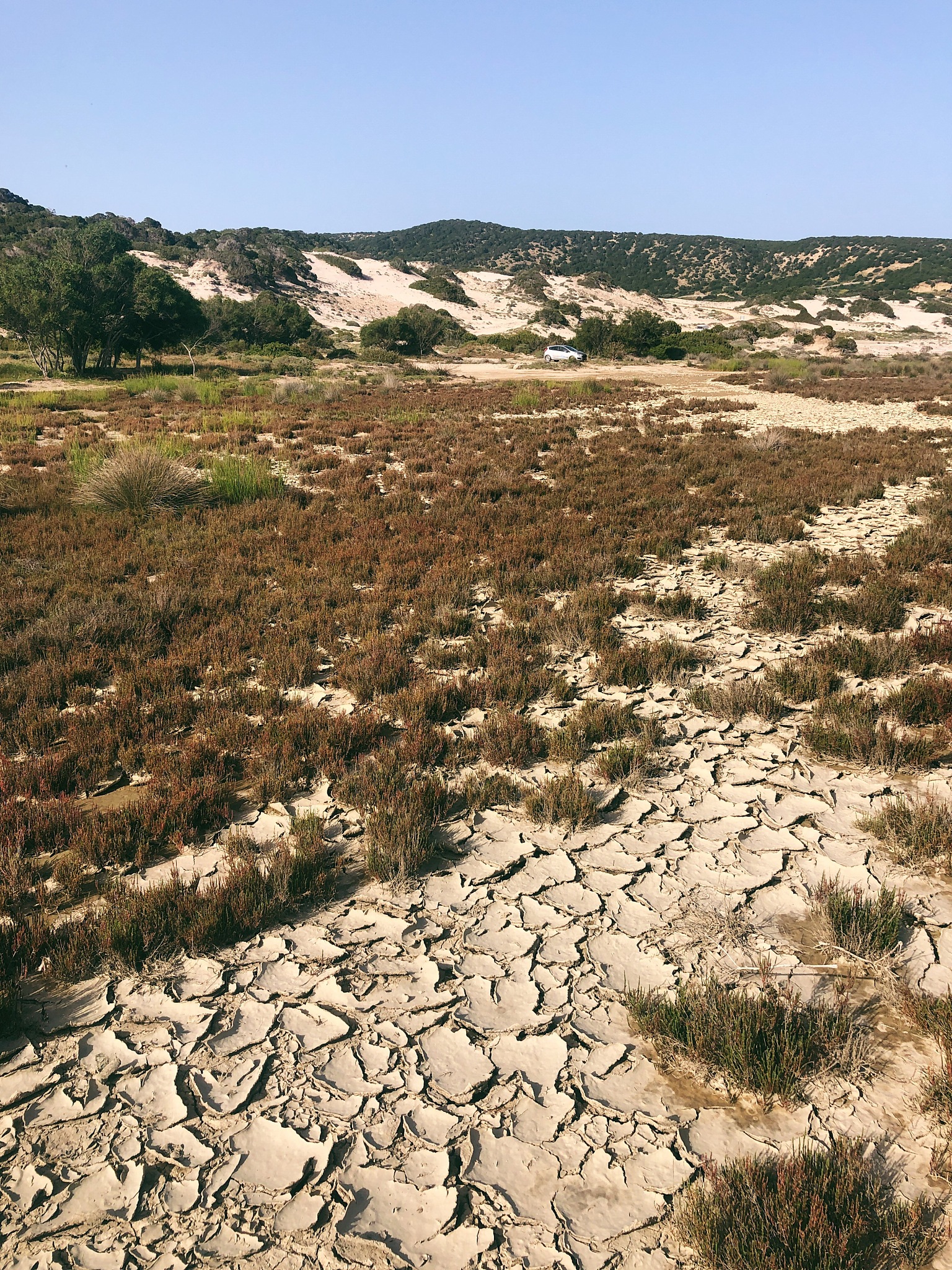 LAND DEGRADATION & DEVELOPMENT的期刊推荐理由