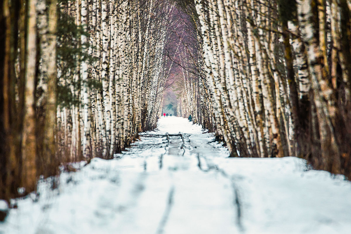 乌鲁木齐铁路运输学校五年制大专招生：接收往届生吗？