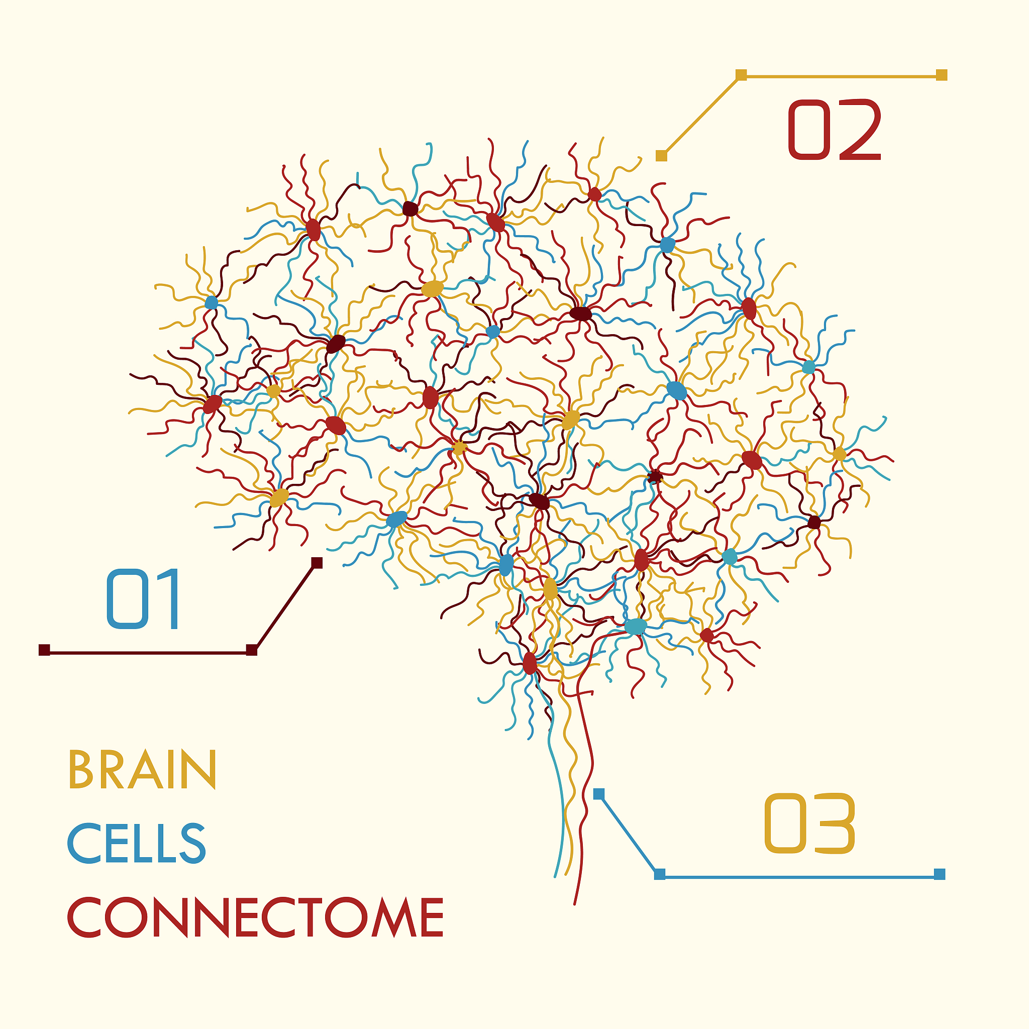 西南医科大学临床医学专业简介