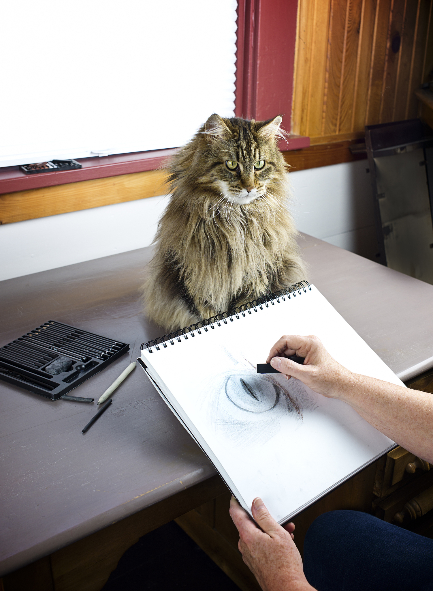 2019年美术学考研方向详解：基础、创作、理论与素质