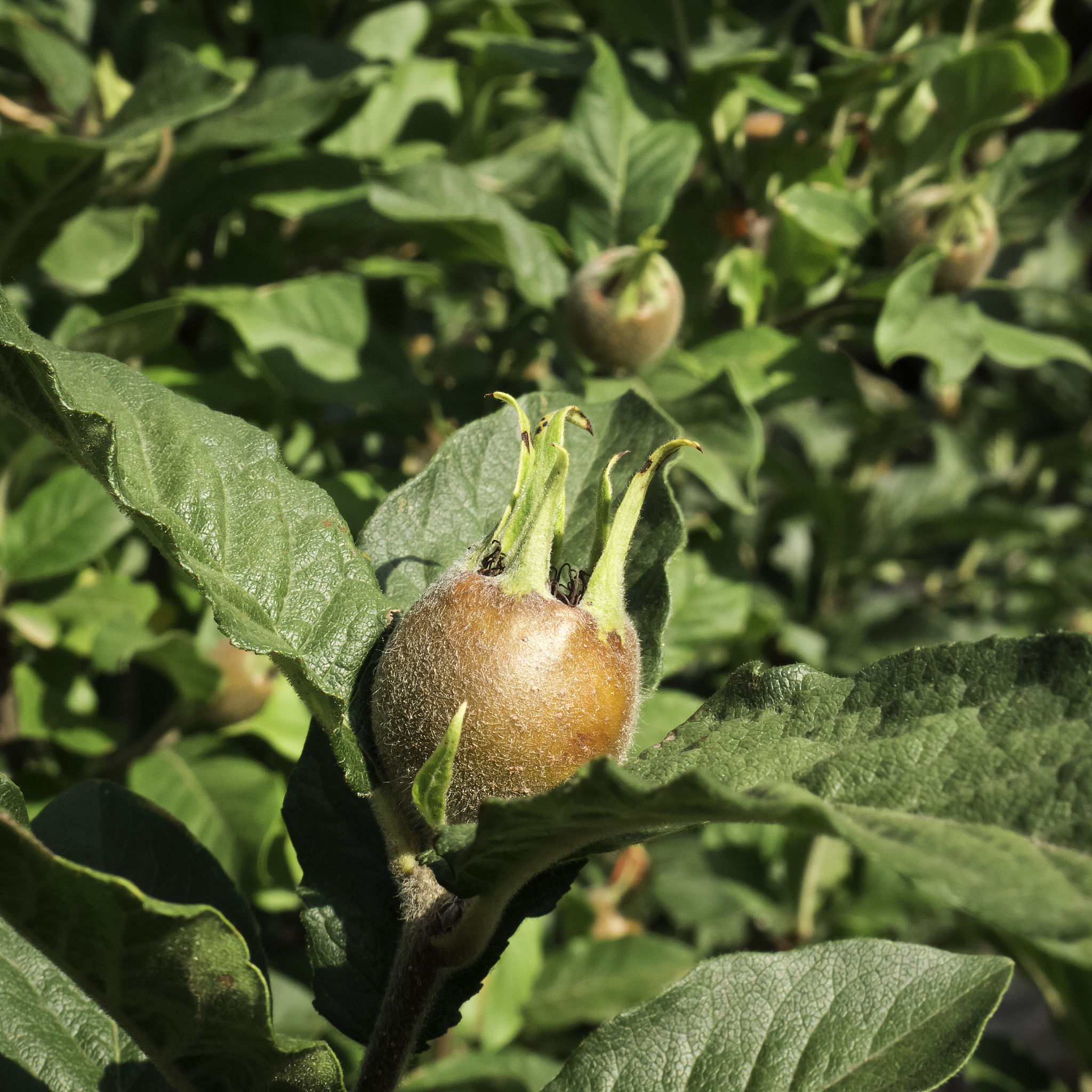 环保意识的重要性及其应用：PPT大纲及内容详解