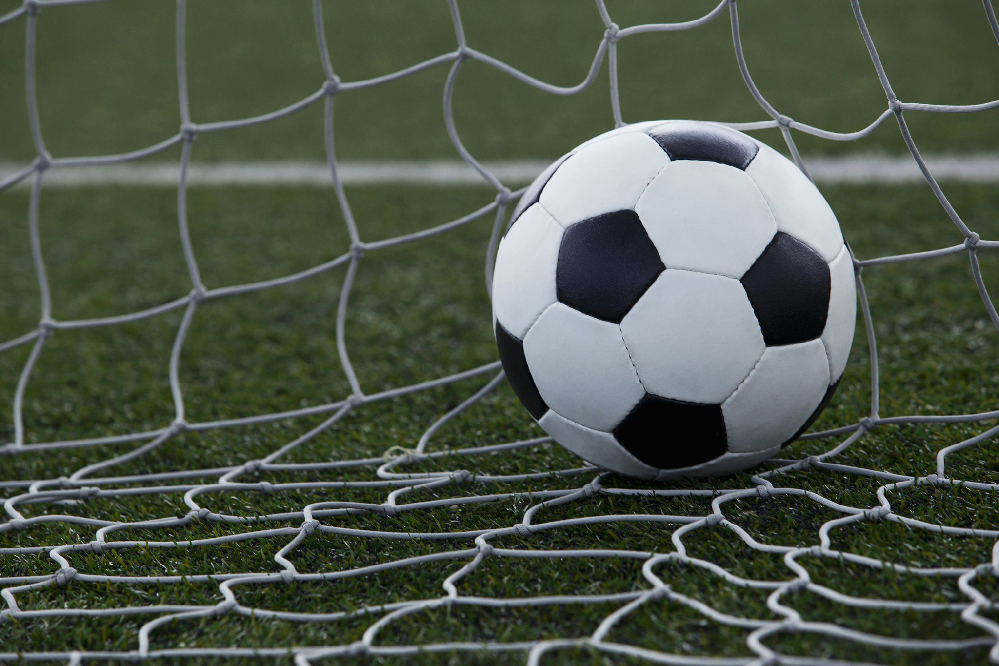 the soccer ball