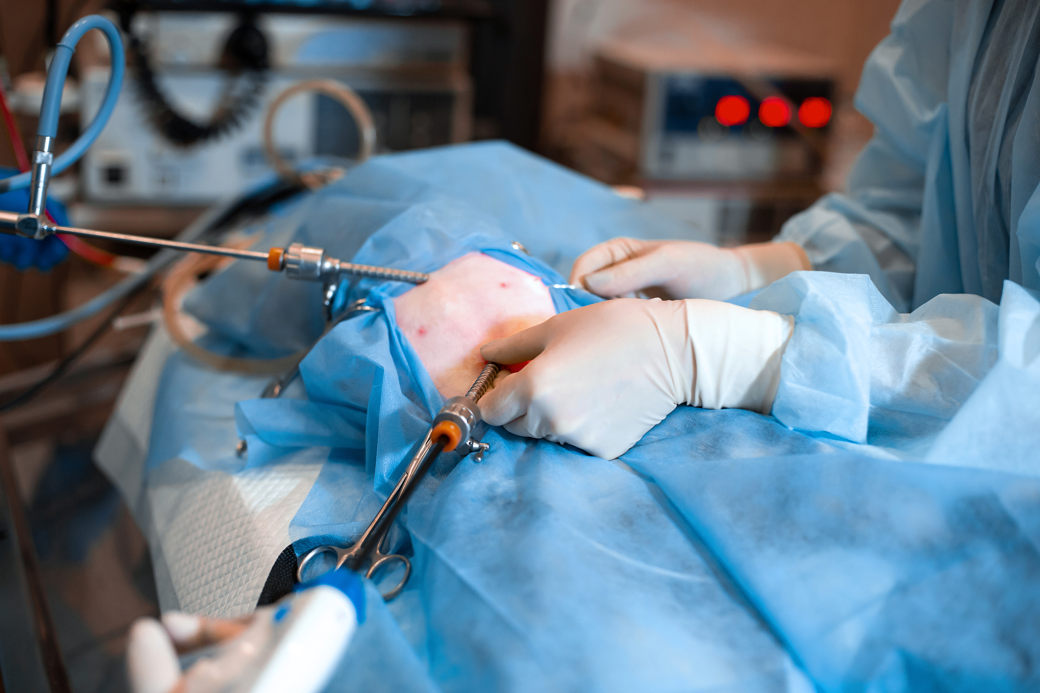 veterinarian or doctors doing surgery in the clinic. medicine, p