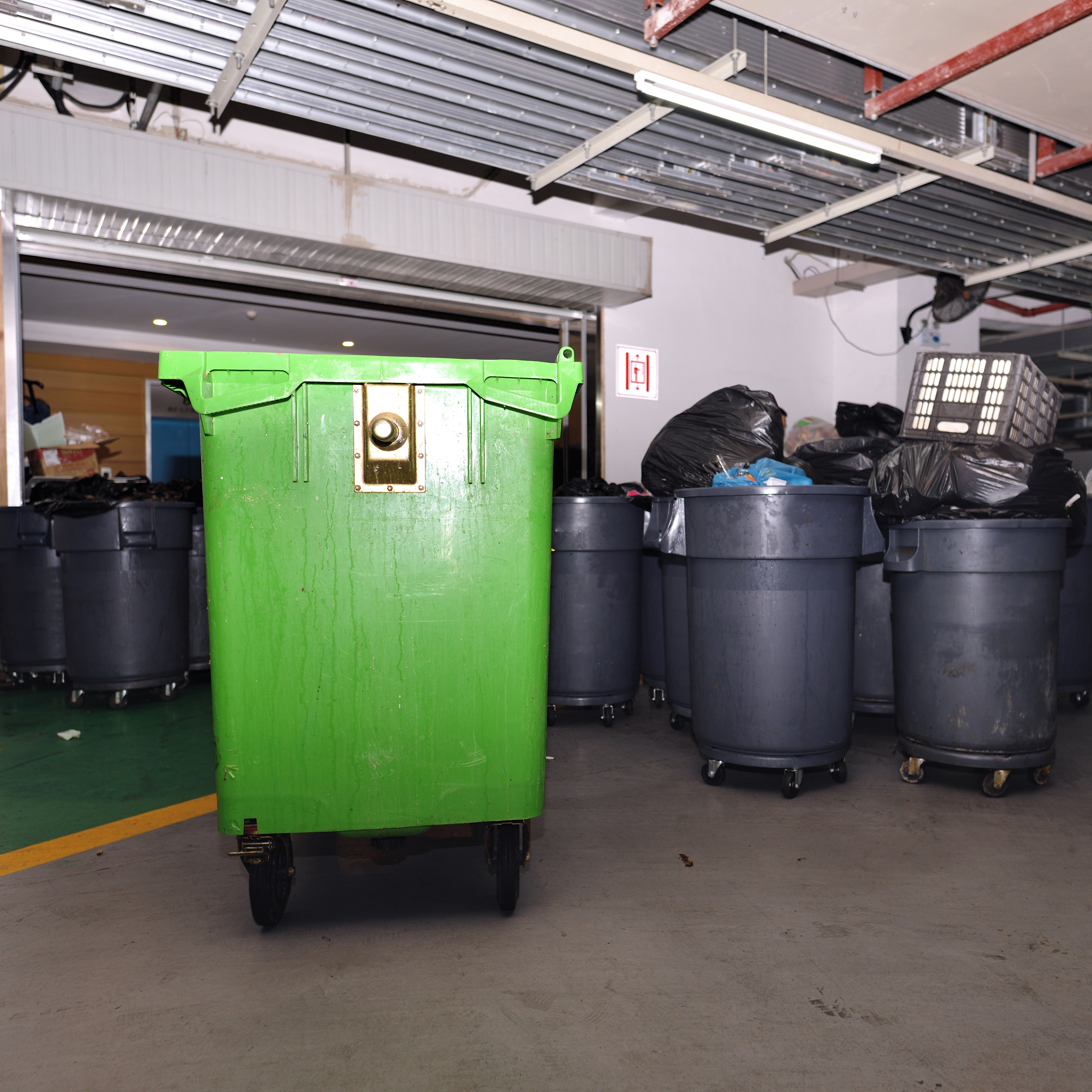 厨房垃圾堆肥指南：简单易行的方法