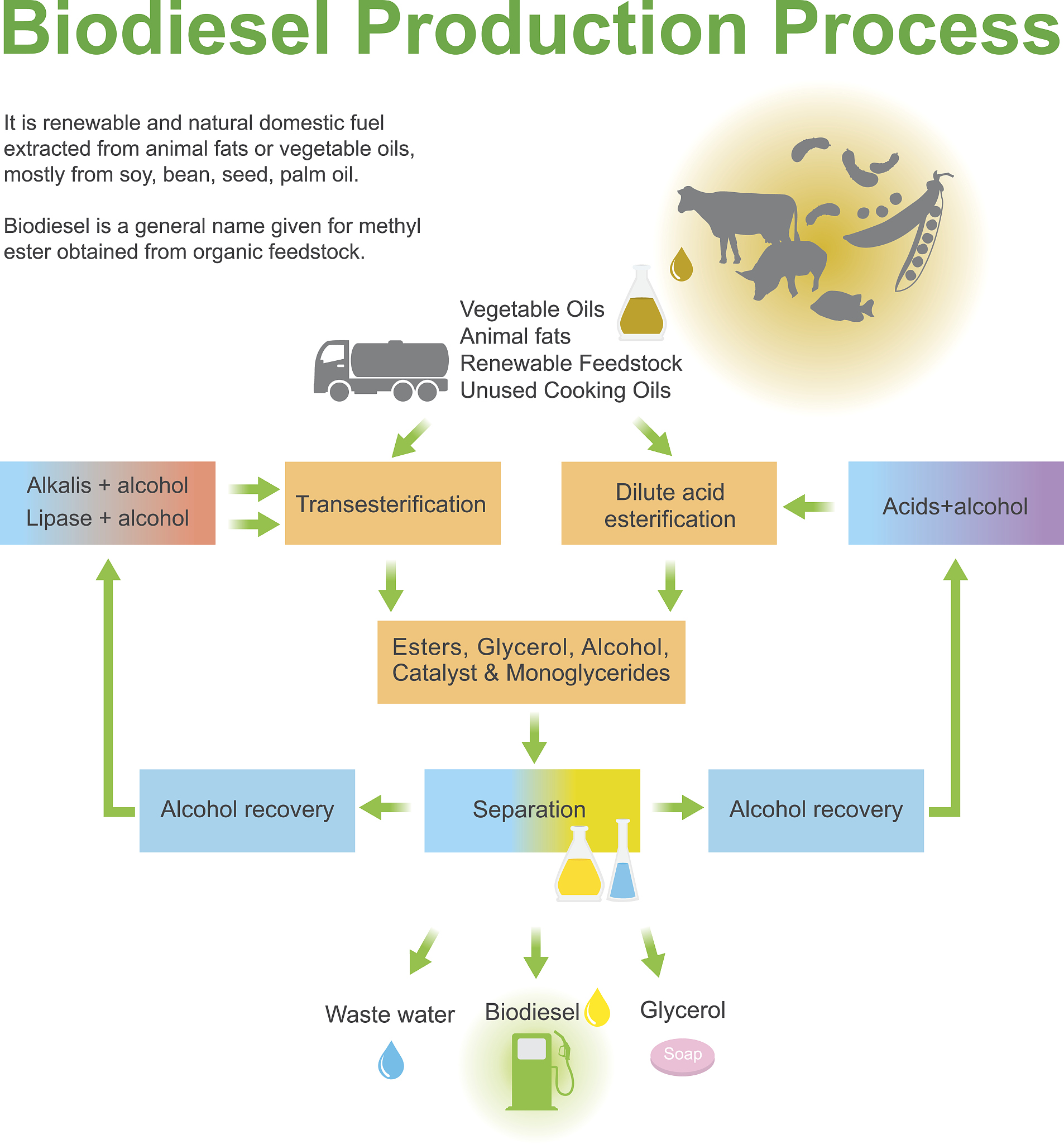 全基因组关联分析(GWAS)为何遗漏已知关联基因？