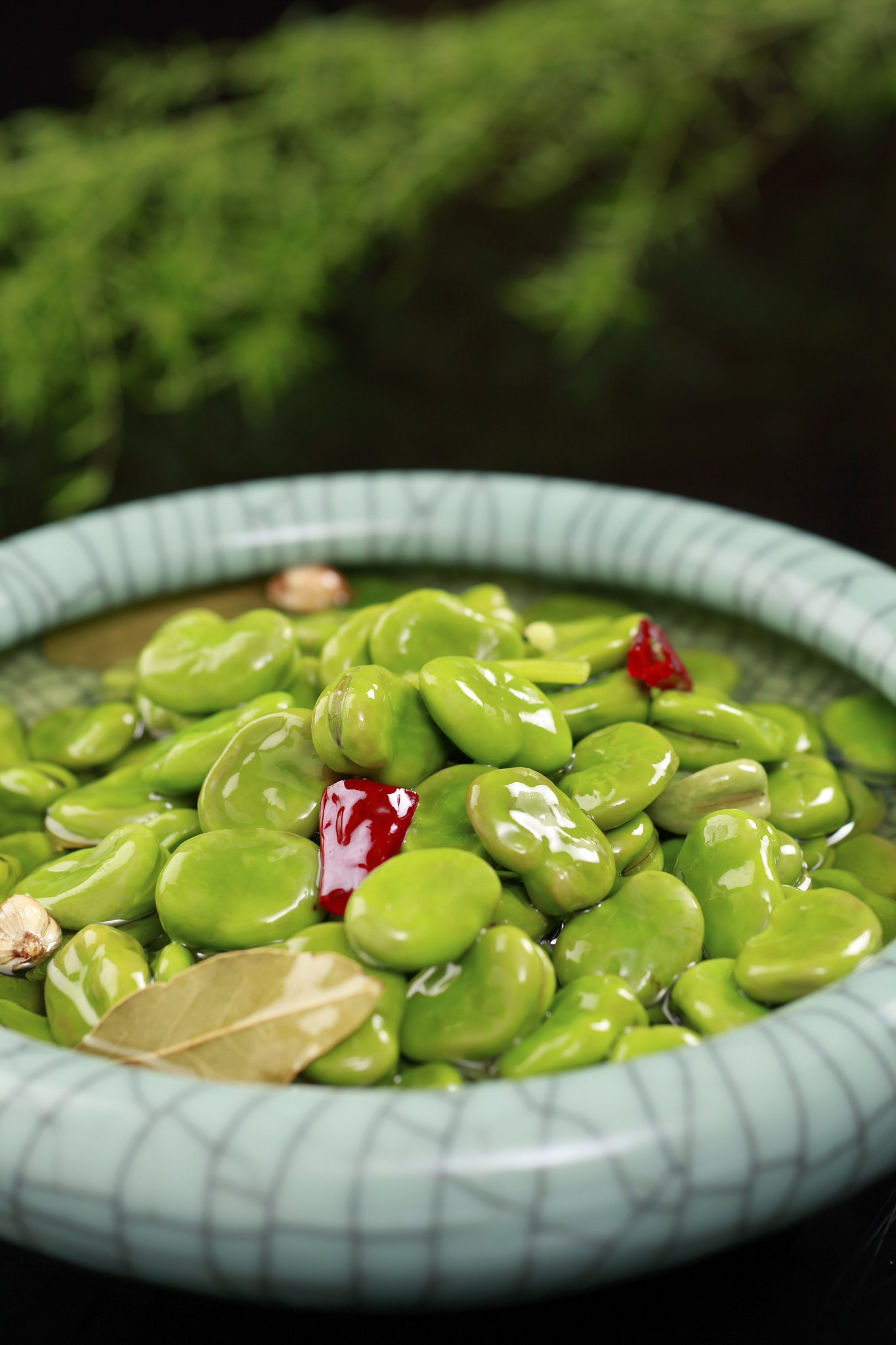 蚕豆和苦瓜能一起吃吗，