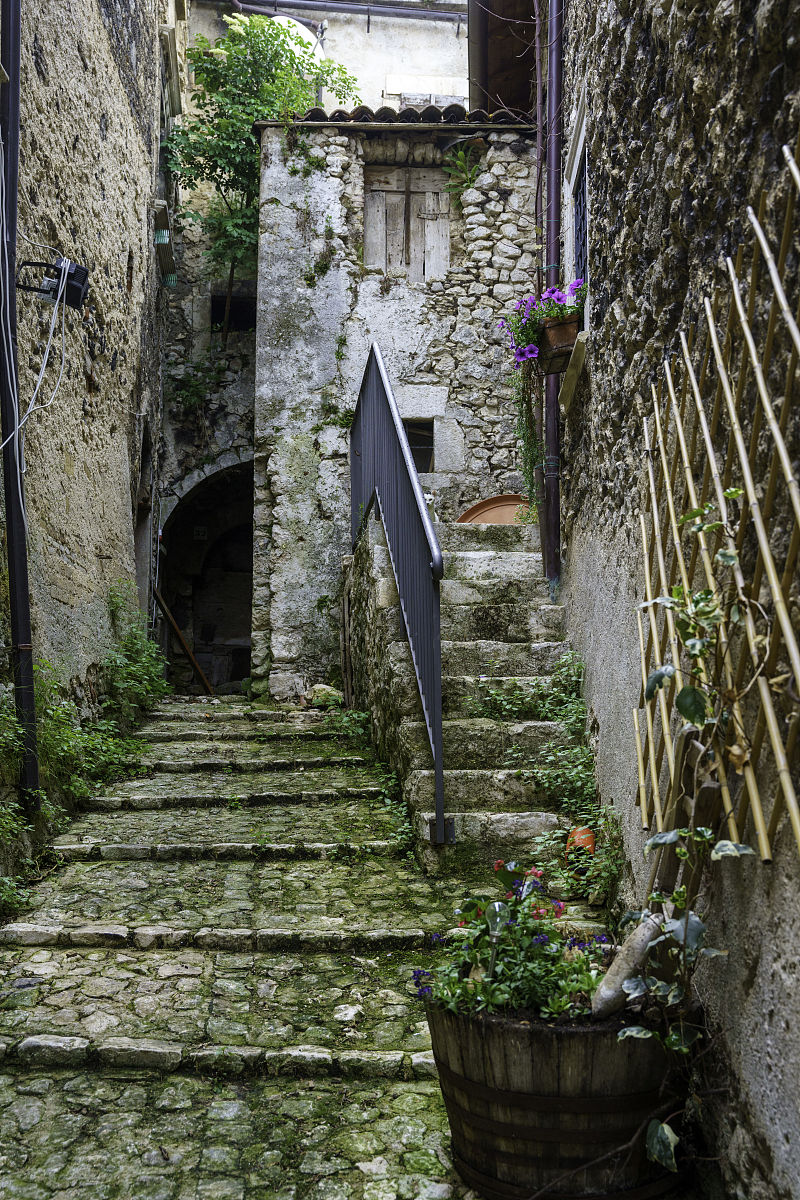 你好能否简单陈述下哲学的发展史？