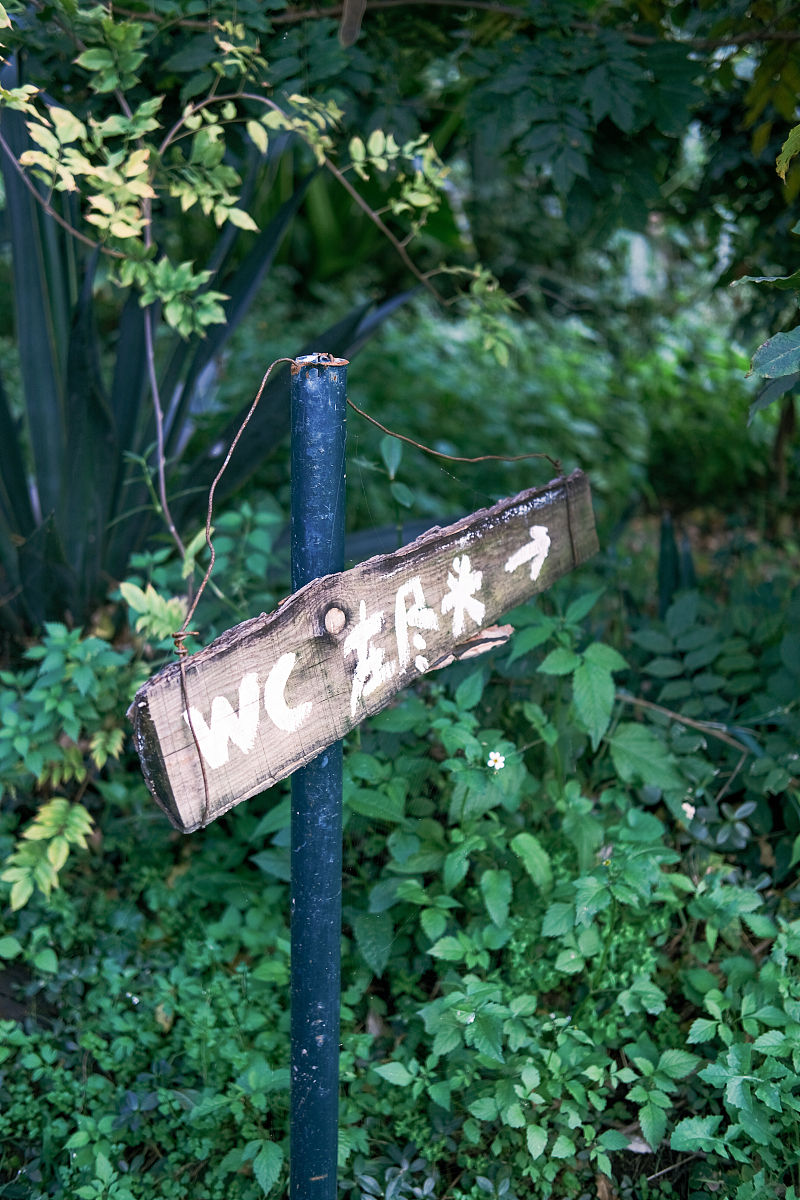 古文翻译器扫一扫