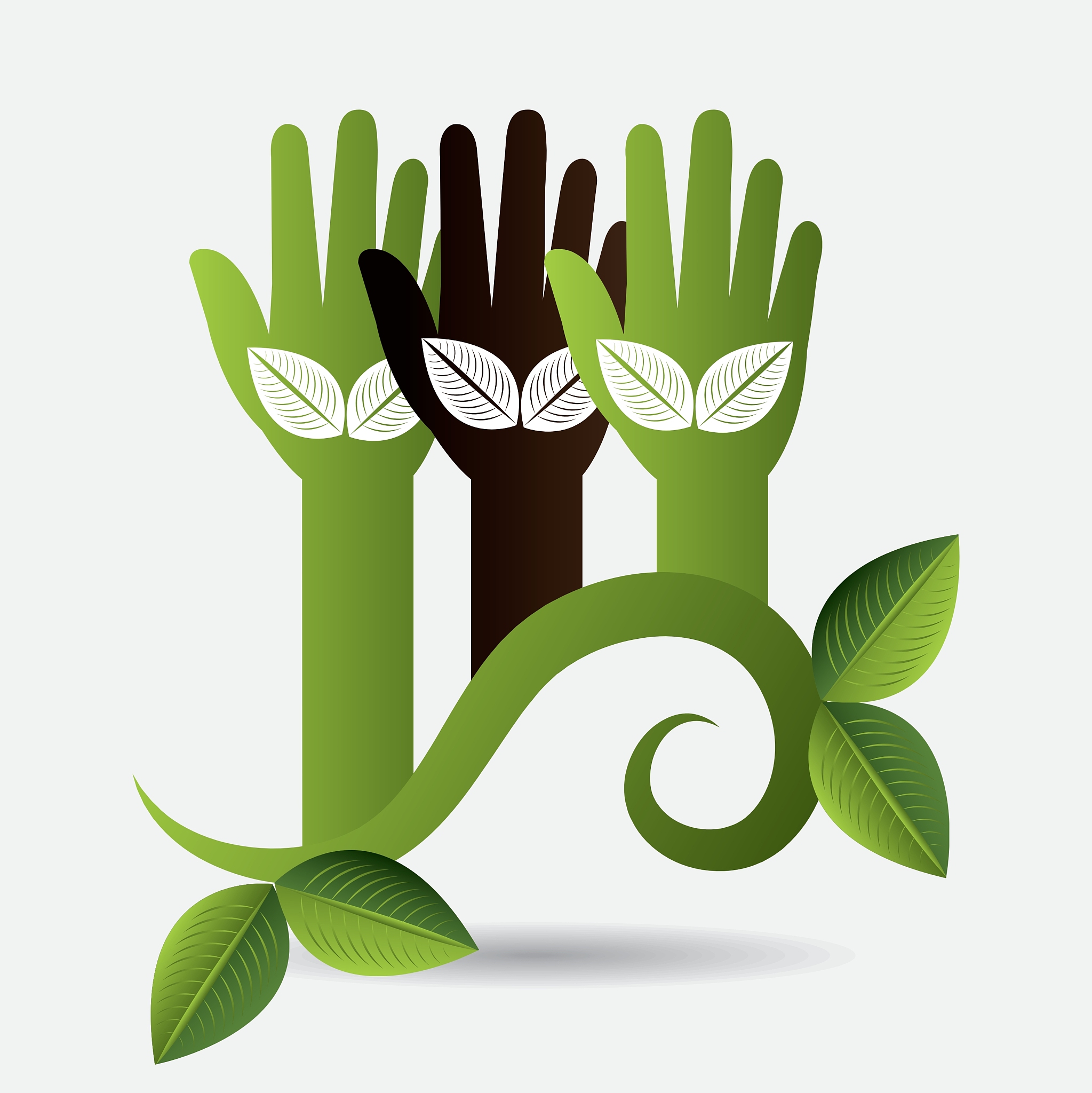 green eco design