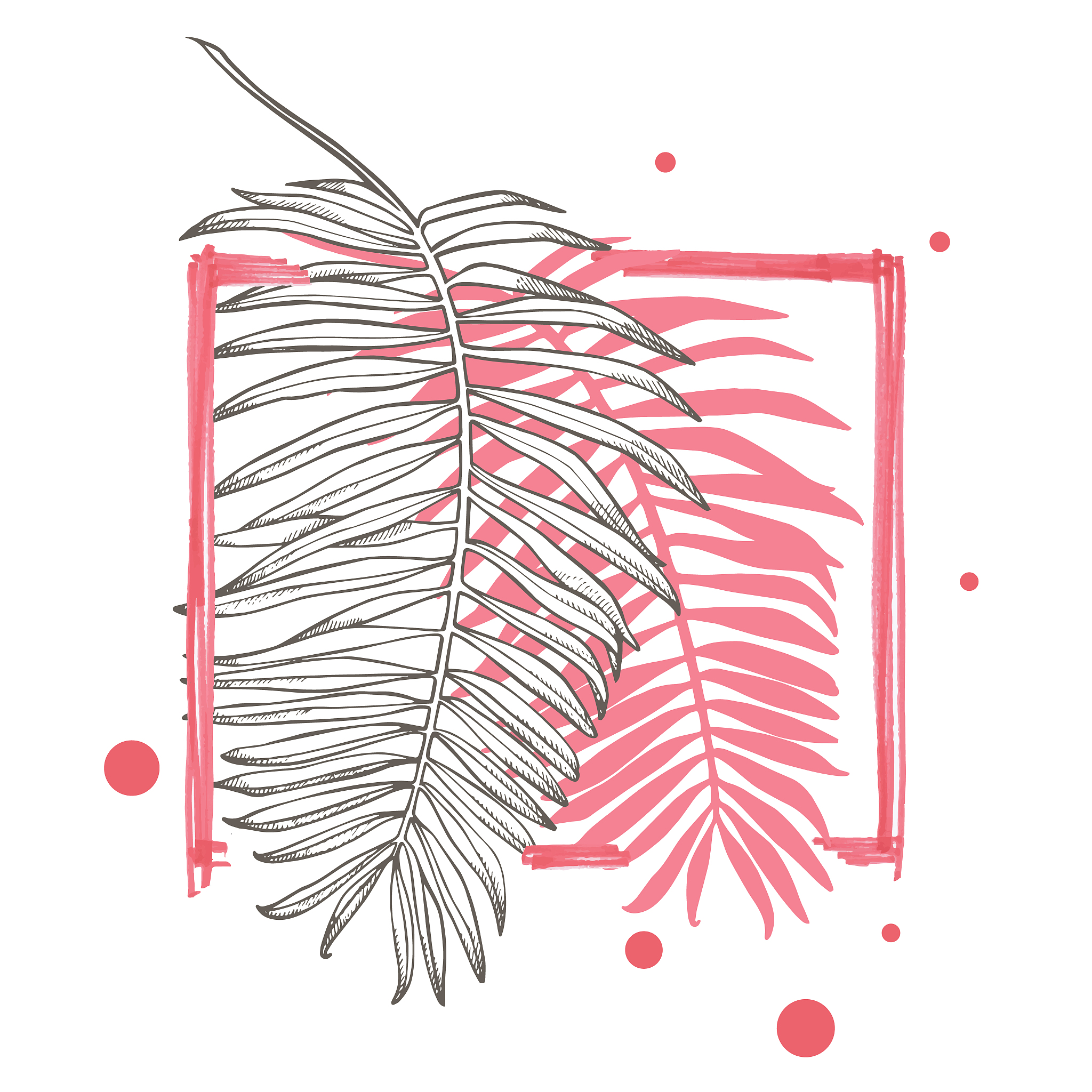 typography print with tropical leaves. hand drawn frame vector f