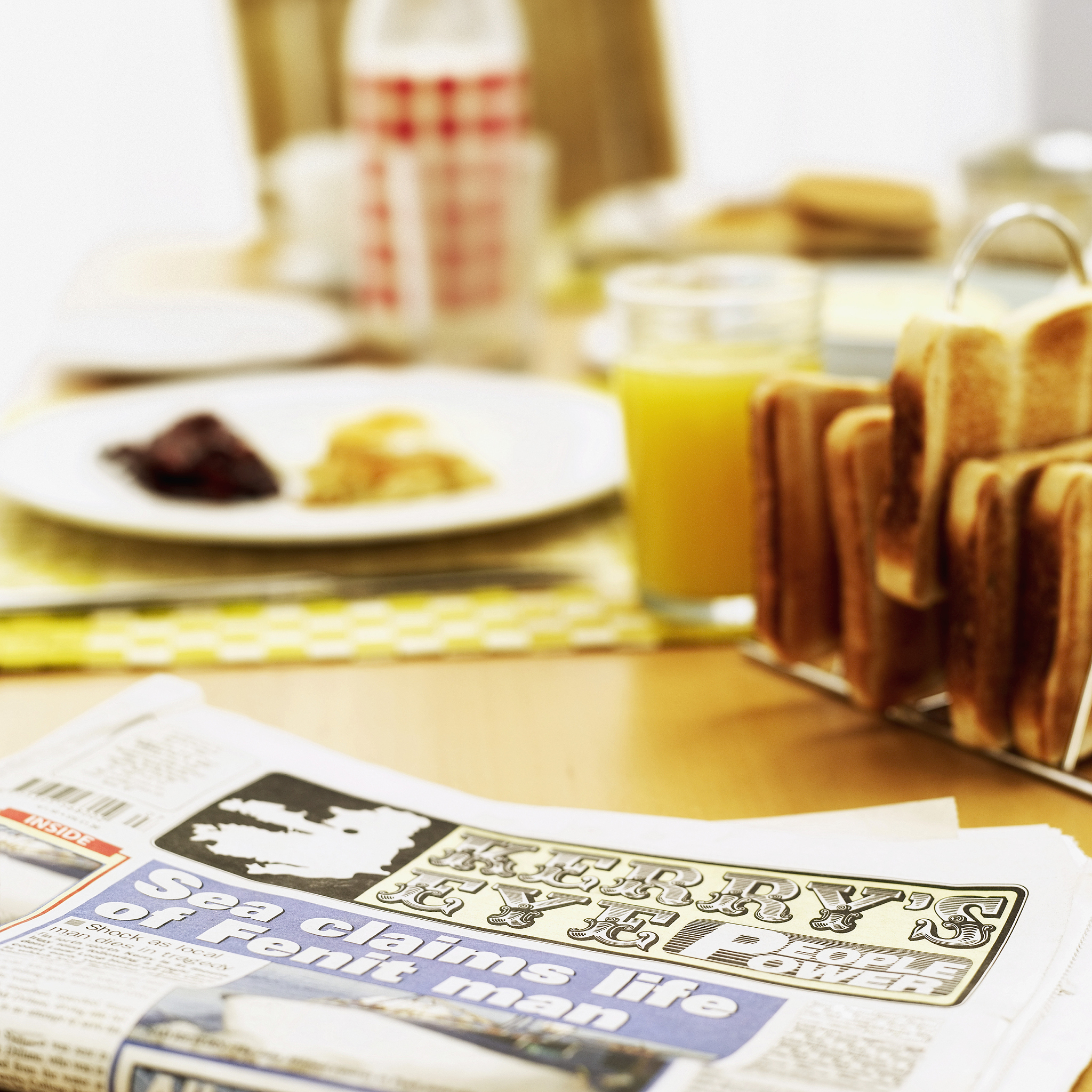 几例猫应激引起的下泌尿道综合征的诊断与治疗论文 中英文摘要