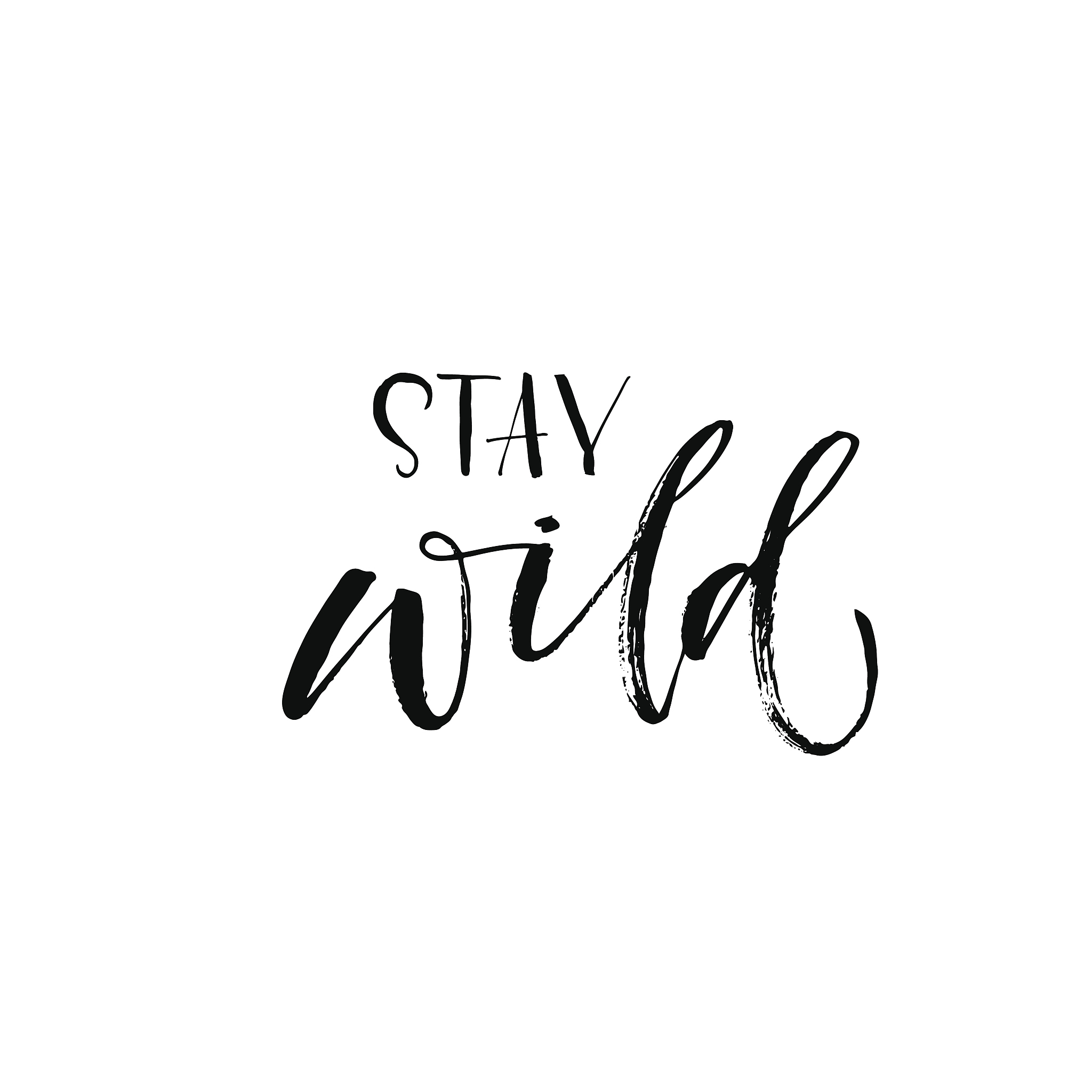 stay wild phrase.