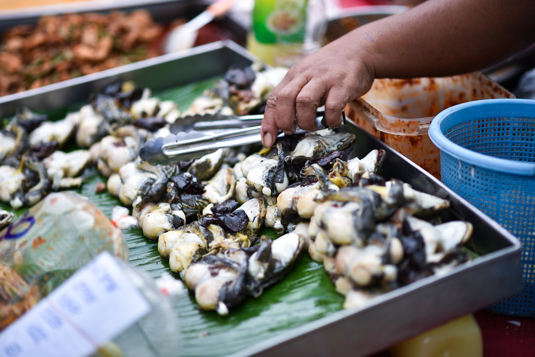 温水煮青蛙效应：渐进变化的适应与接受