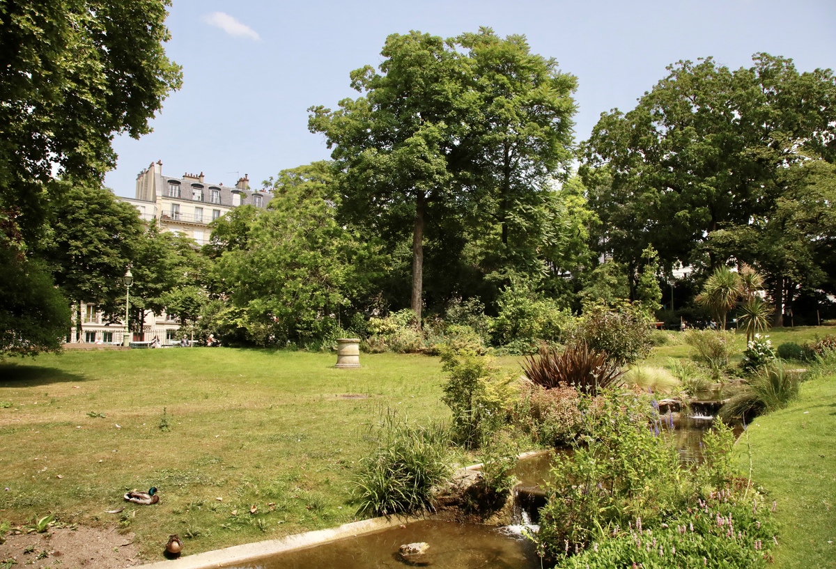 校园绿荫：5字美景，无限诗意