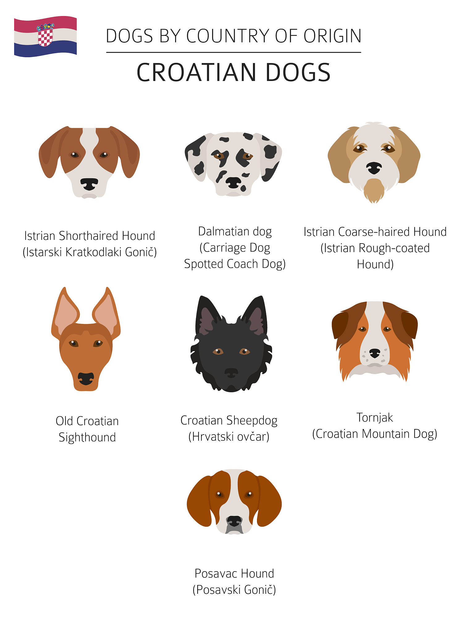 Happy Dog Ears: Signs of Joy & Relaxation