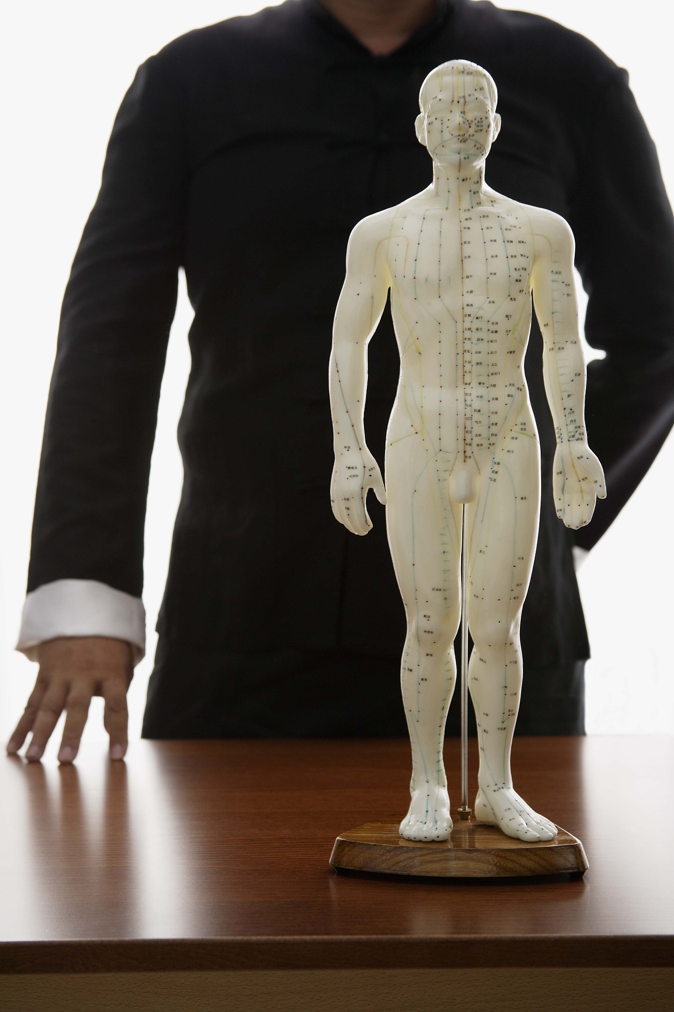 acupuncturist with acupuncture model
