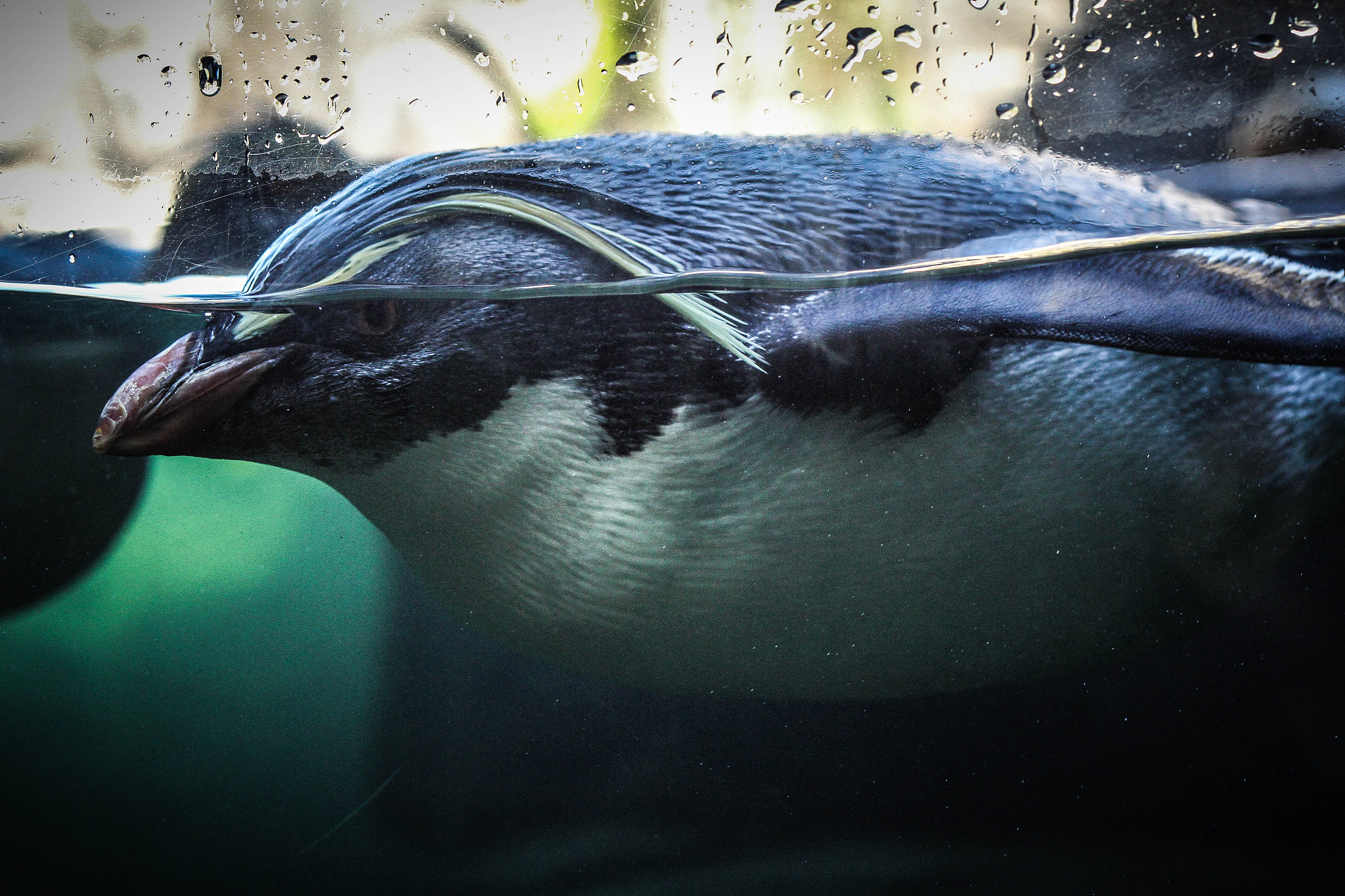 大连海洋学校2022年专业设置及热门专业解读