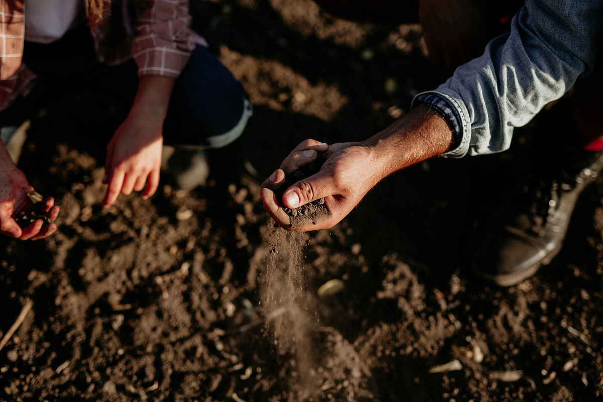 土壤生物学与肥力期刊：研究论文、综述及更多