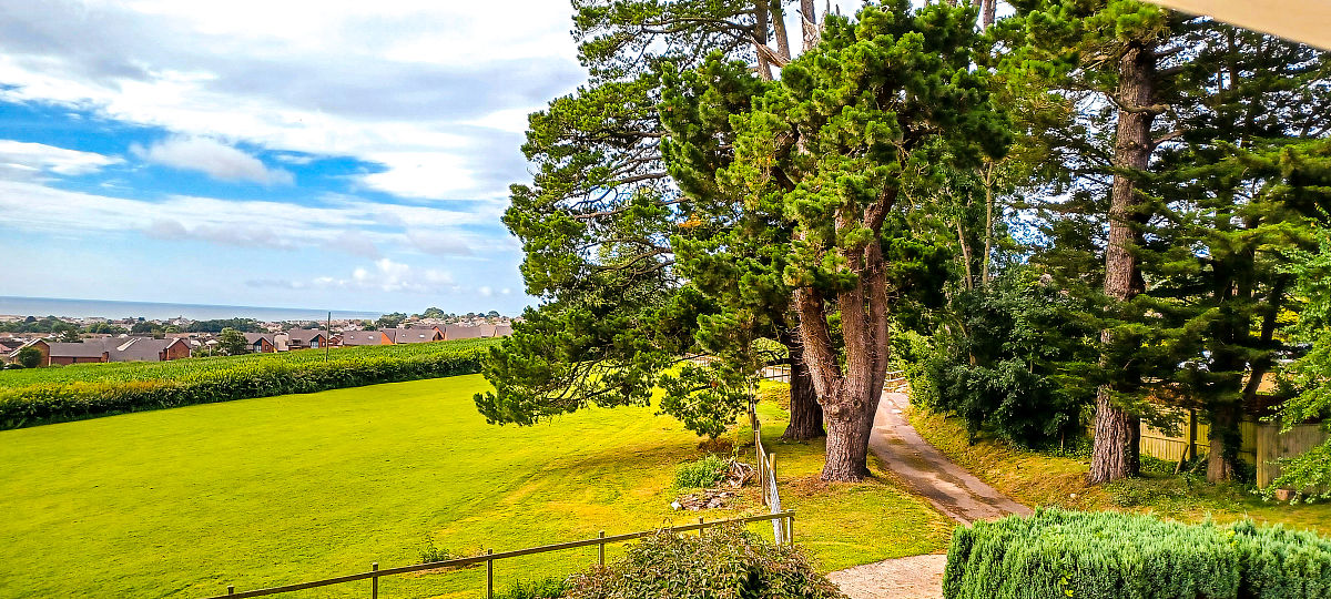 英国的乡村振兴取得了显著的成效实现了农民生活水平的提高、 村容村貌的改善、农业生产技术水平的大幅提升。英国农村现代化建设的过程中积累的大量经验、模式值得我们归纳学习。 换一种说法